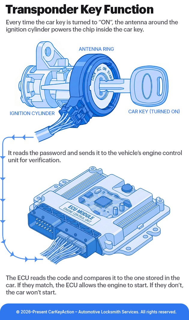 illustration antenna powers transponder reads and sends data