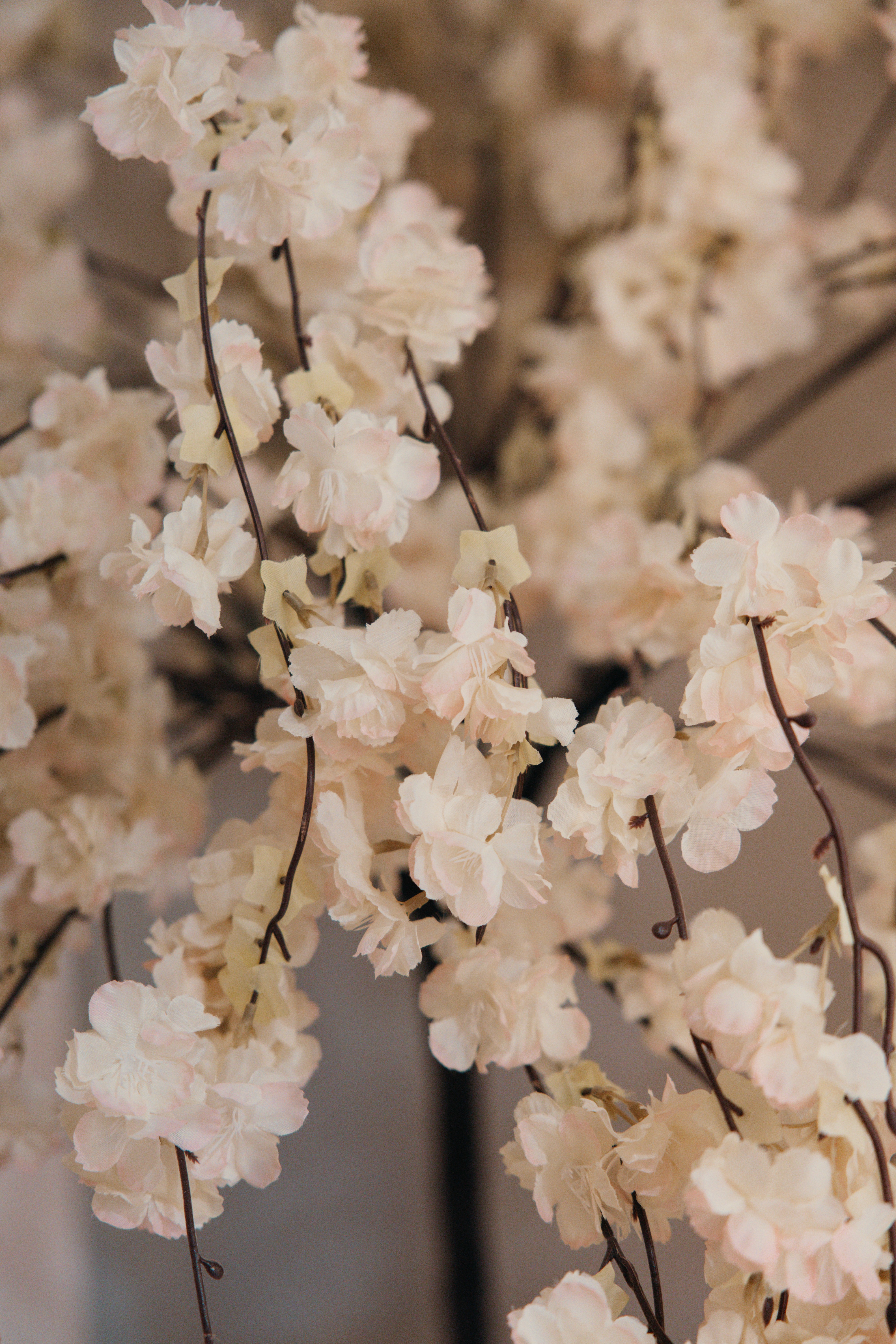 Close-up of a person meditating cross-legged indoors
