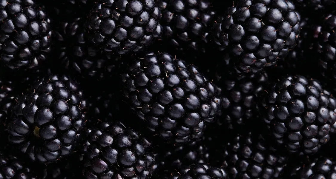 Fresh berries rich in fiber, vitamins, and antioxidants associated with cardiovascular, metabolic, and cognitive health.