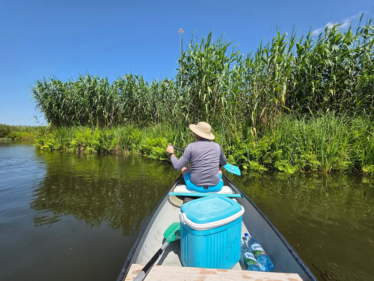 Kanufahrt auf einem Fluss mit grünem Schilf