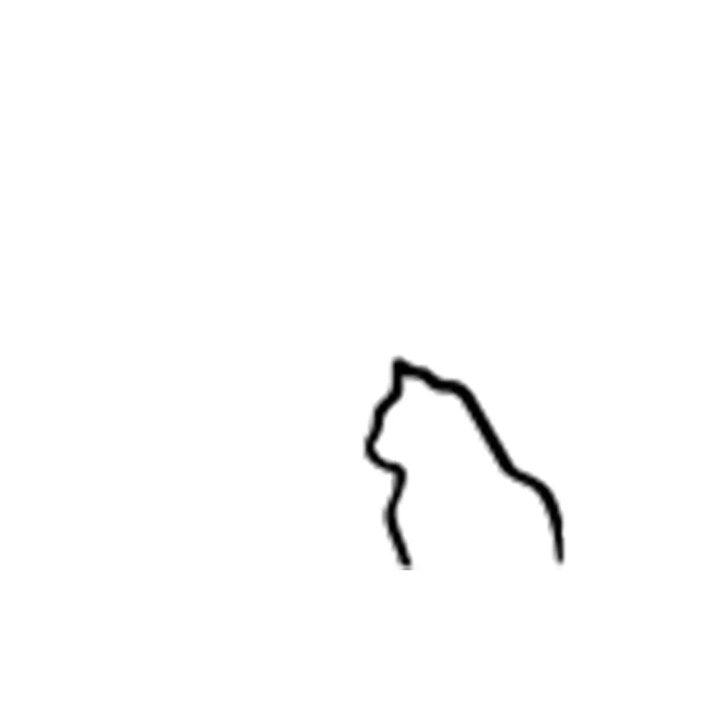 Zoogarfild and Pansyer | Case Study