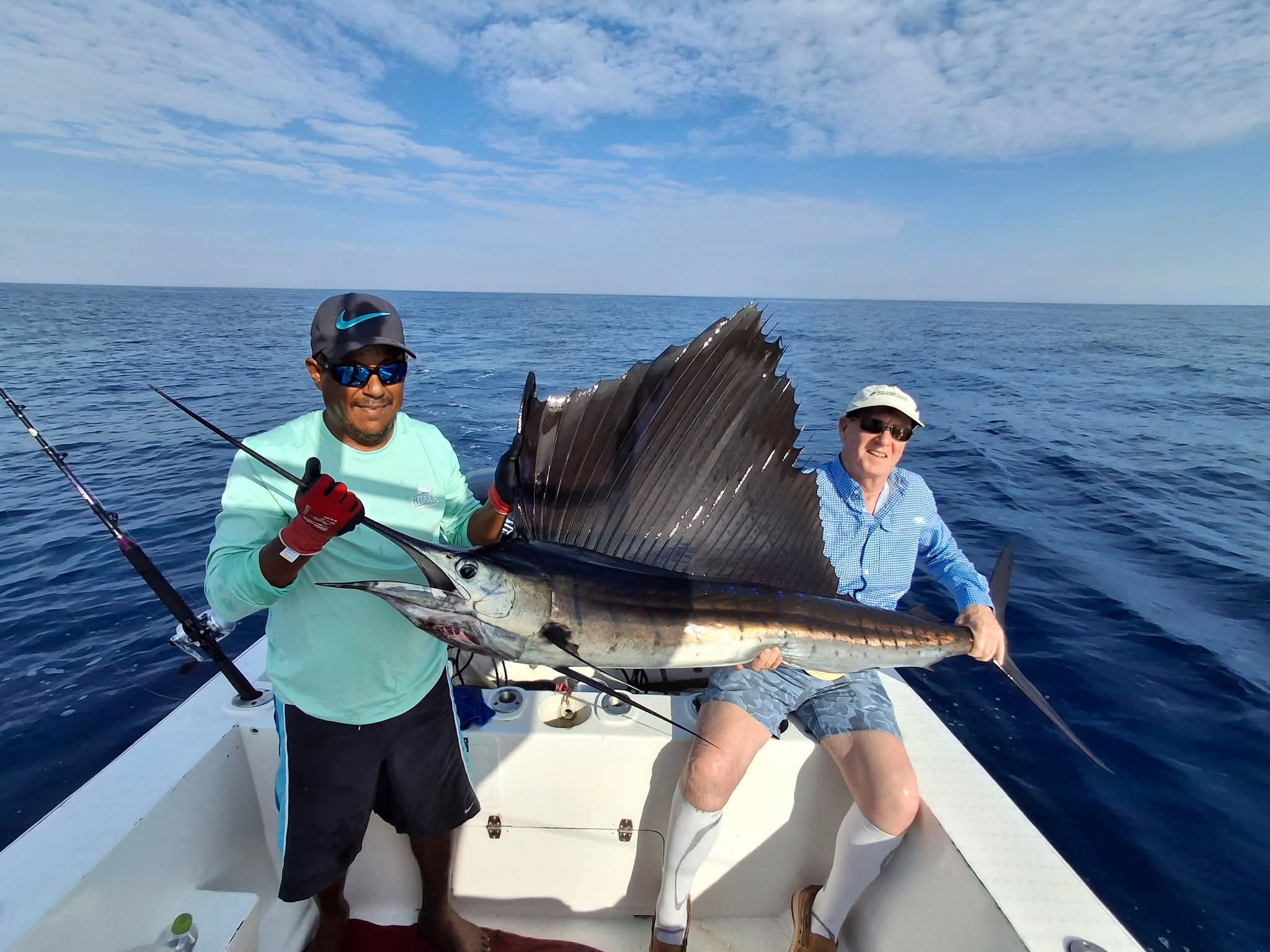 Mexico, sailfish, rooster, mahi mahi