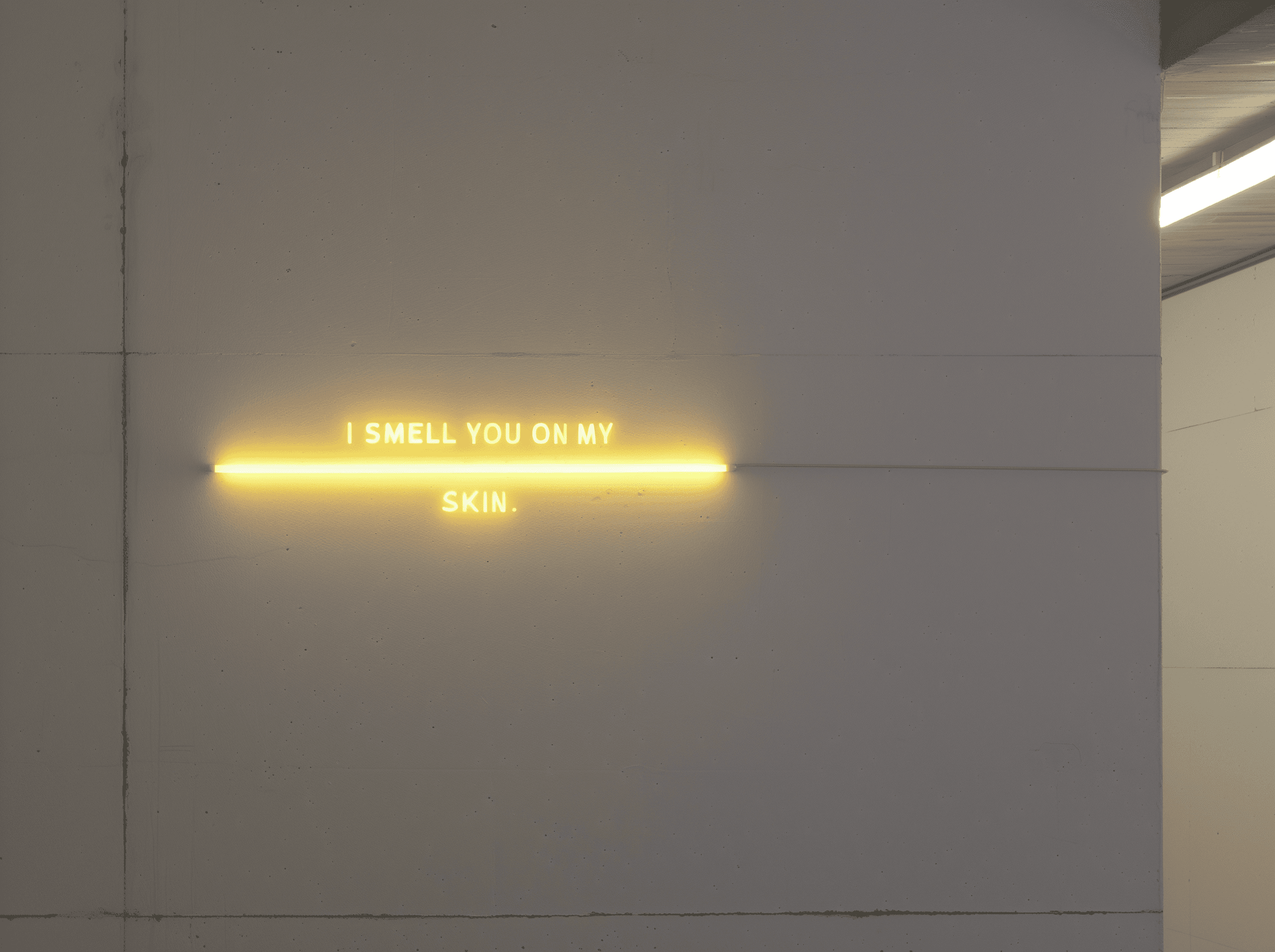 minimalist yellow LED lighting on the wall