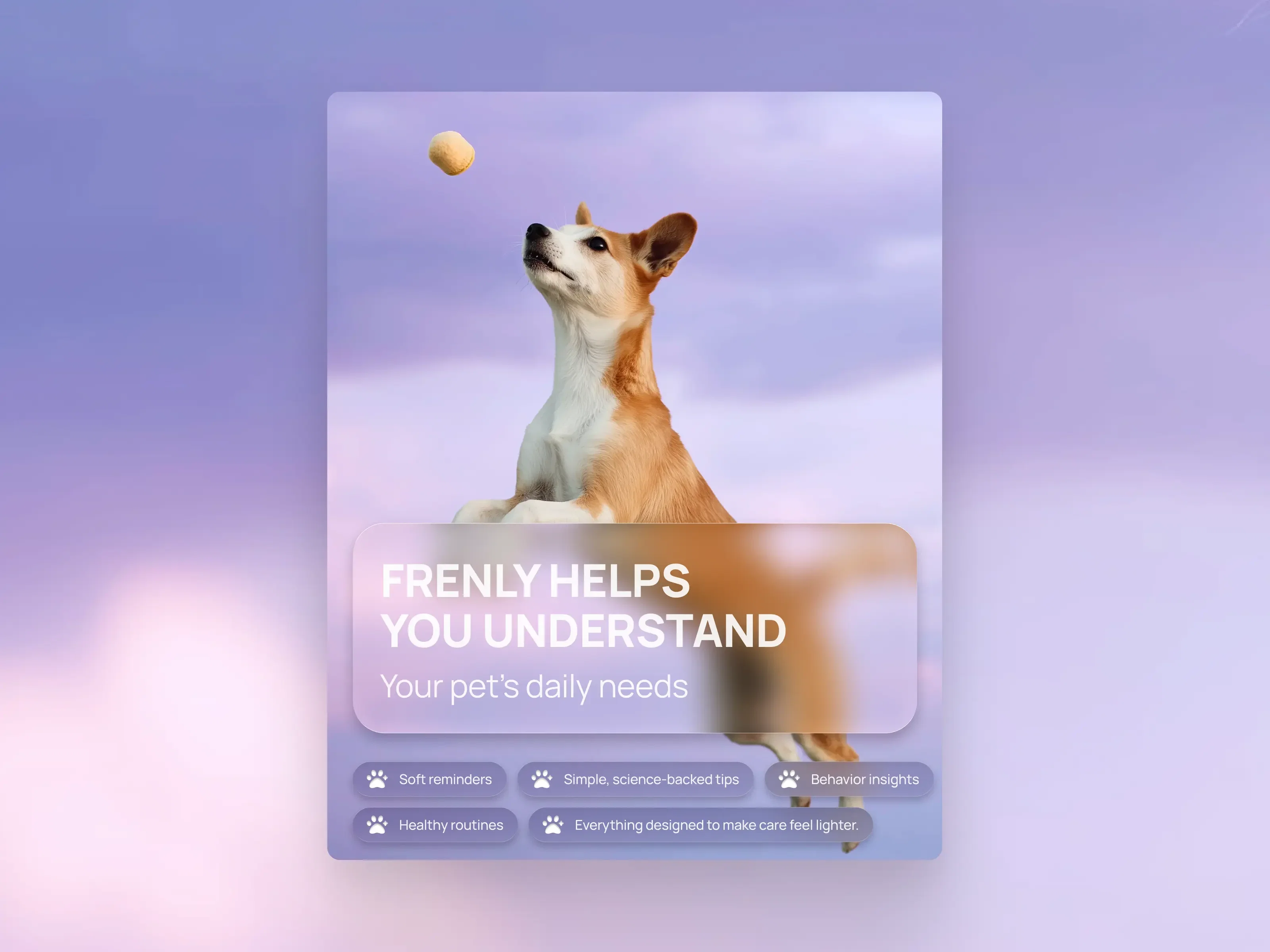 Brand guidelines showing color, typography, and identity system designed by Bright Studios