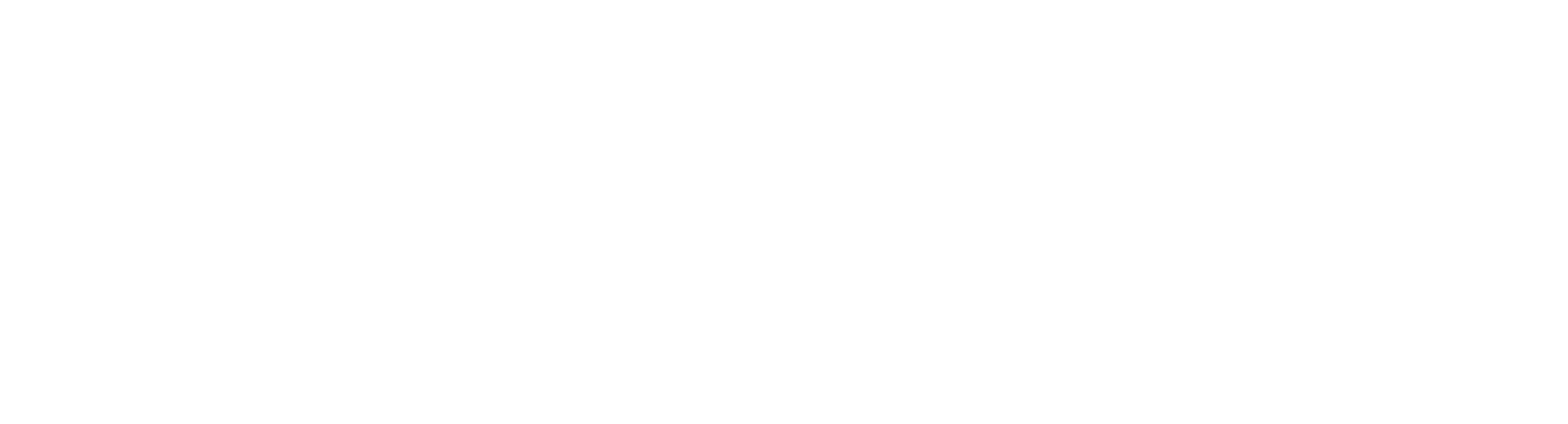 Company logo in white