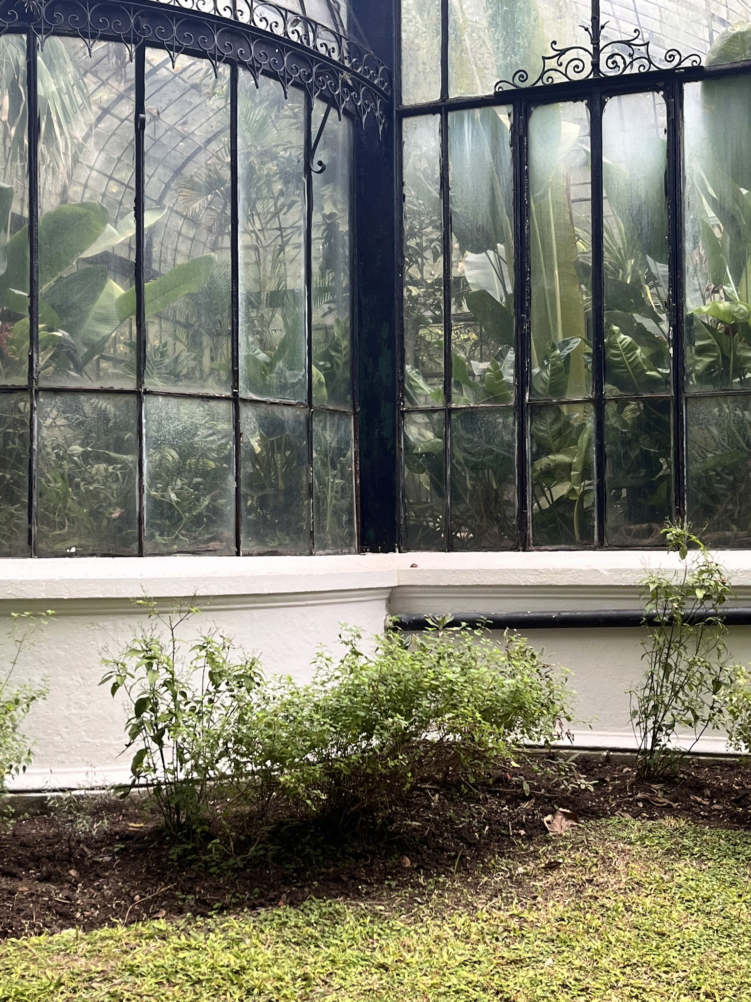 Botanischer-Garten Buenos Aires