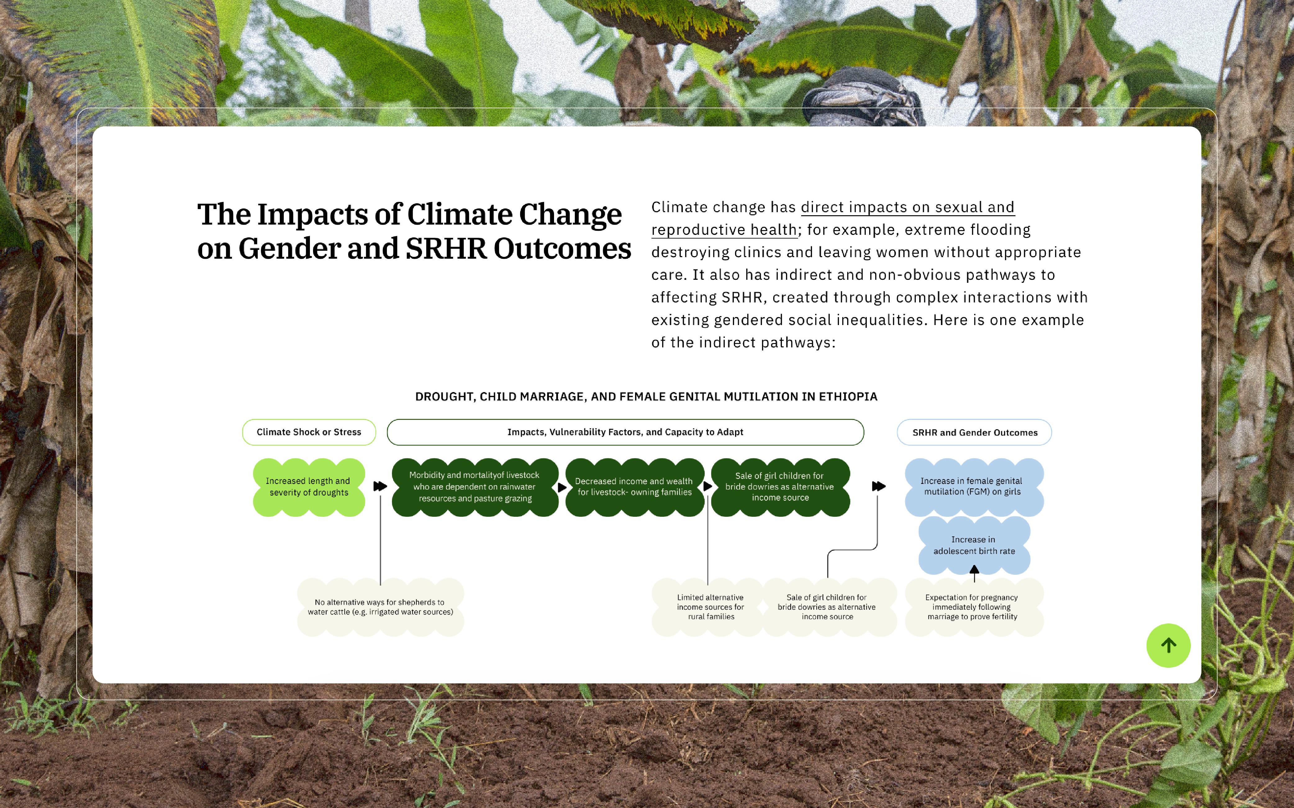 Framework Data Visualization