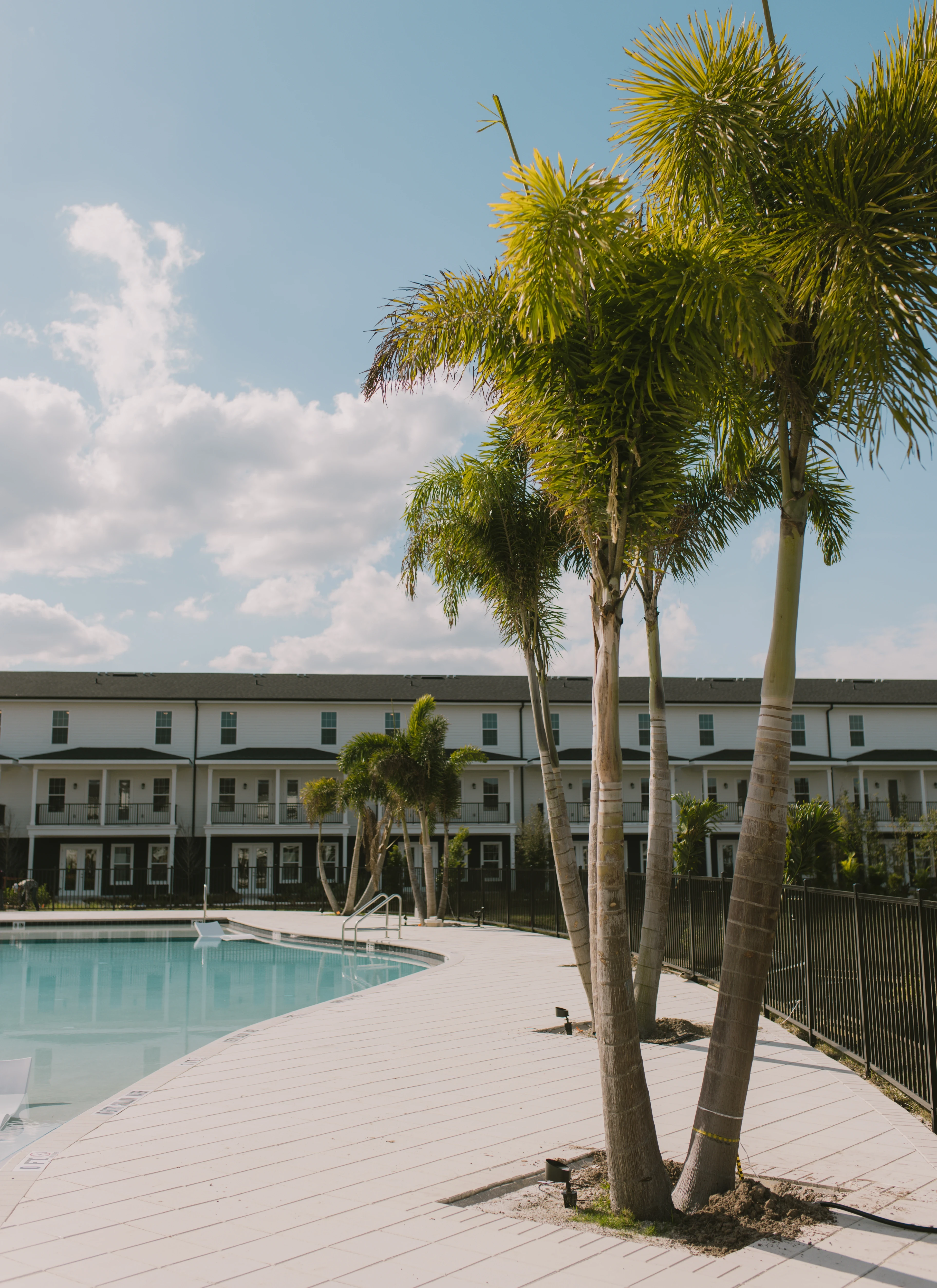 A serene pool surrounded by palm trees, set against the backdrop of a modern building.