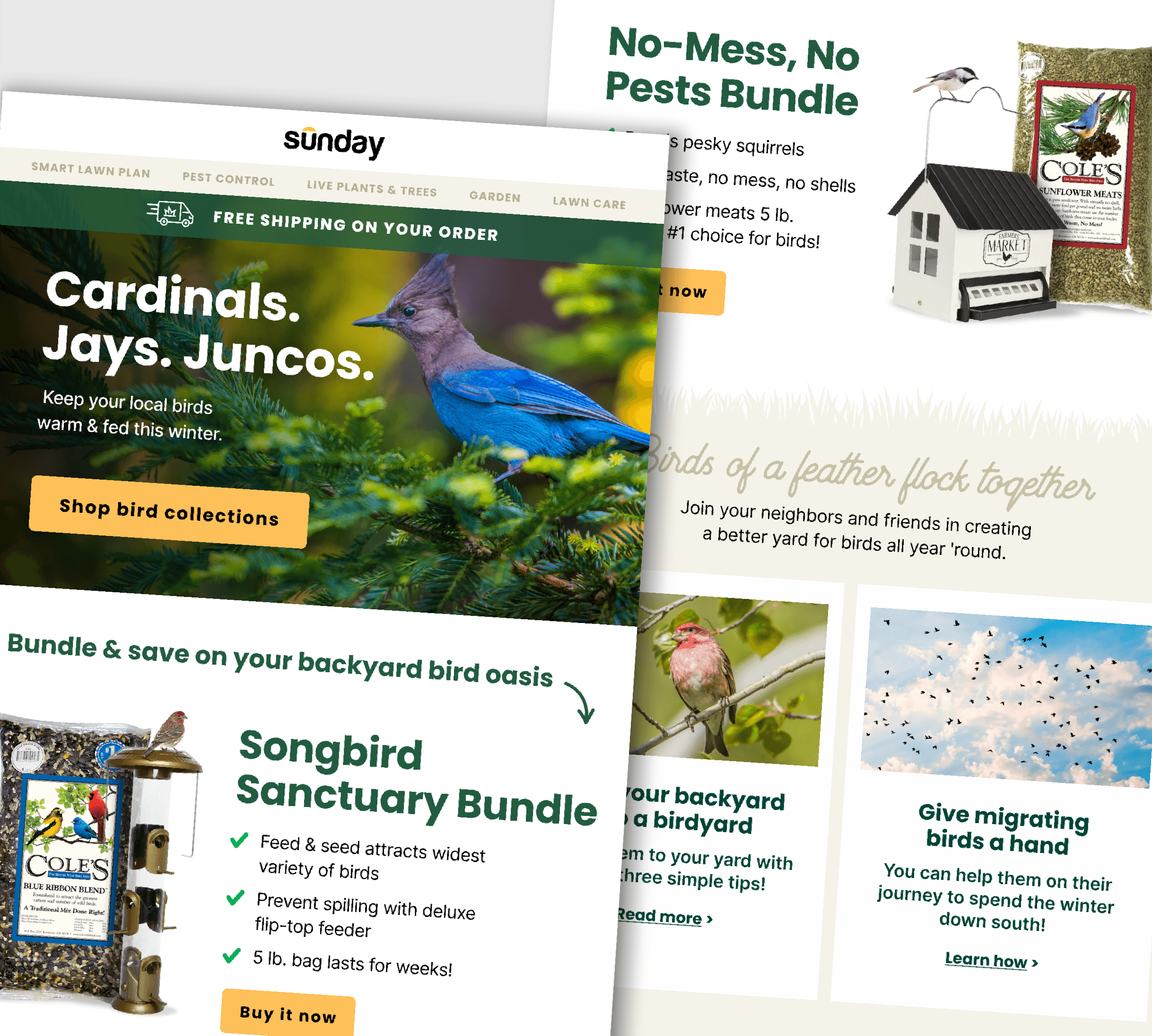 Featured Project Cover Image