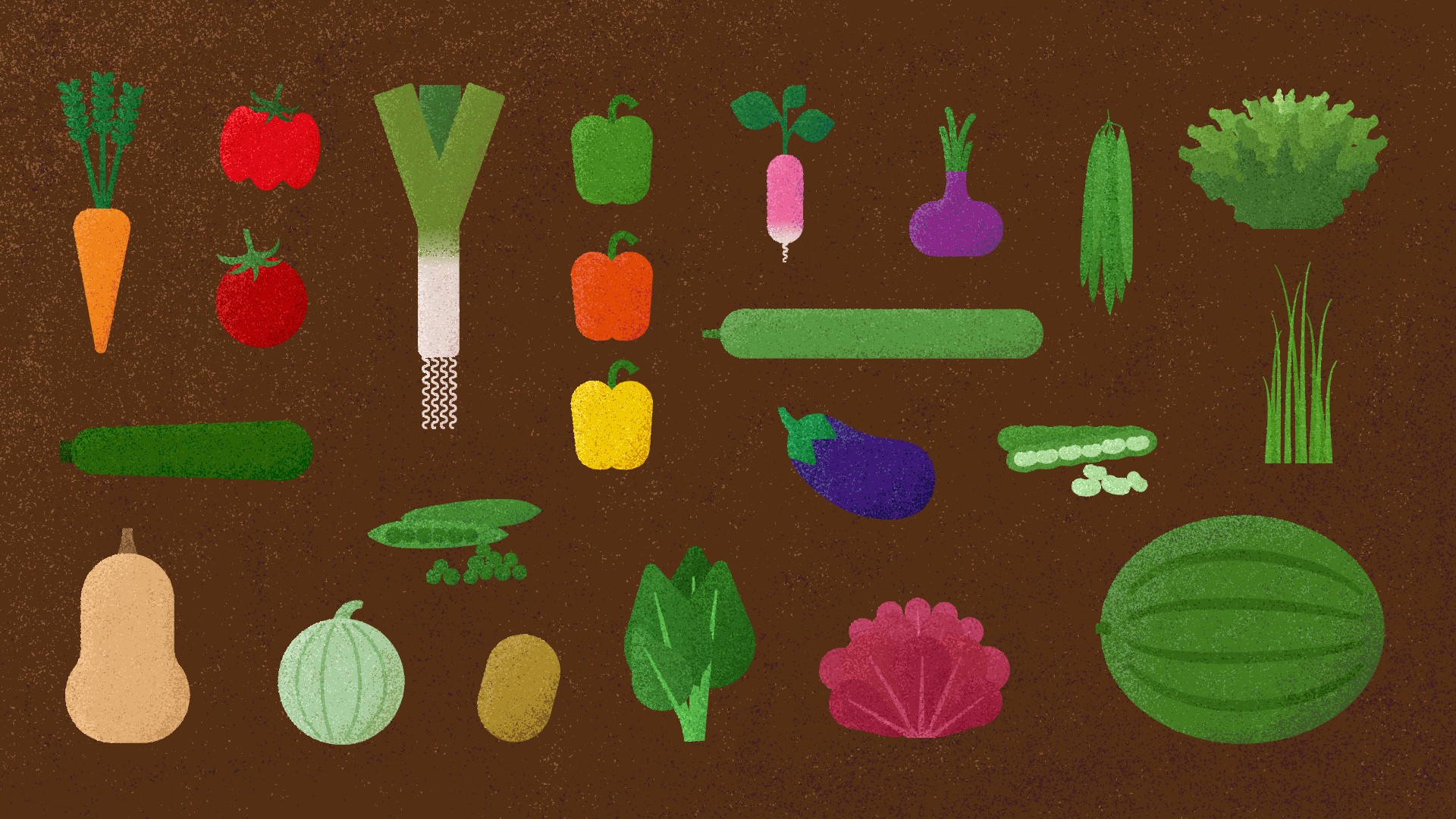 Illustrations des légumes