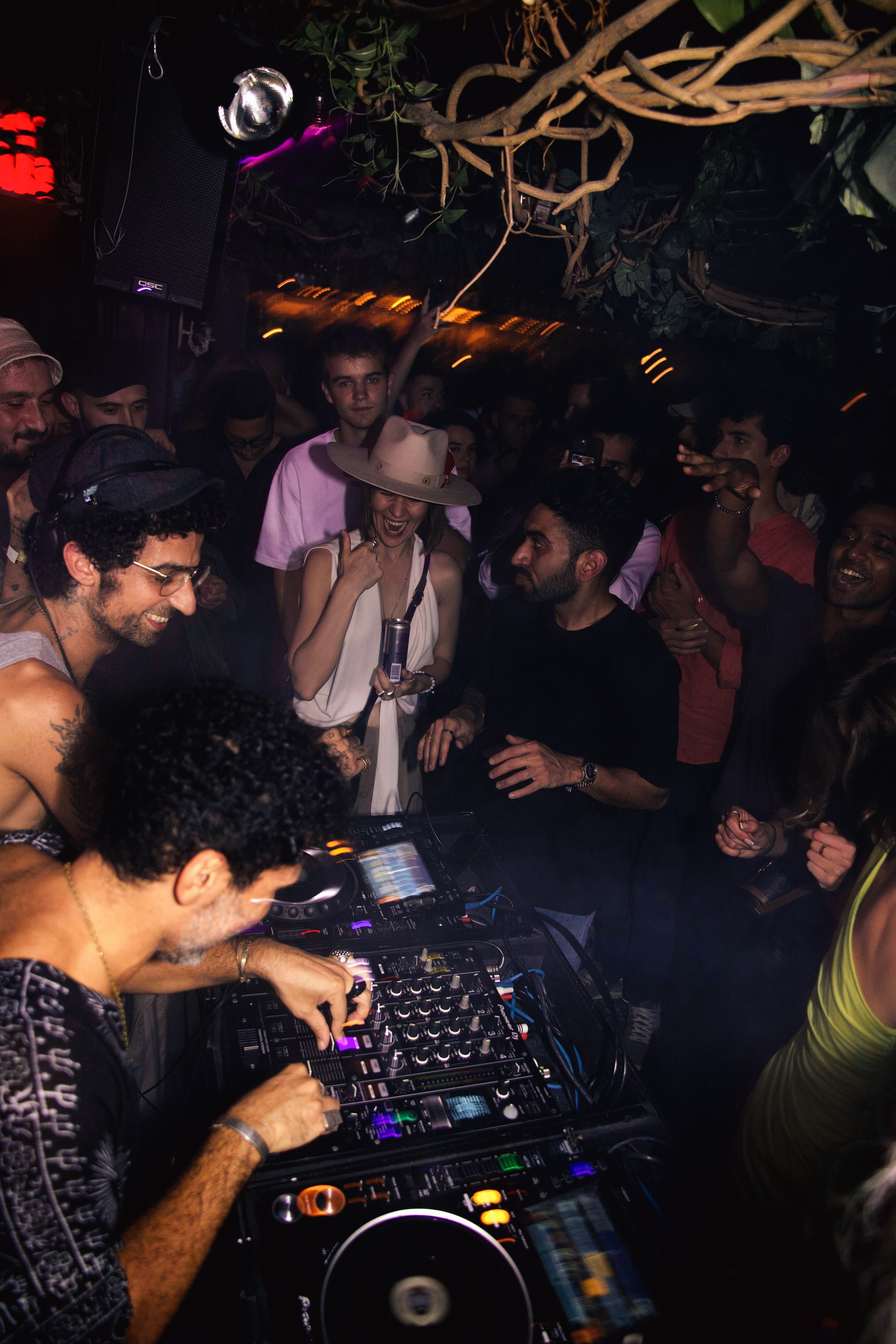 Close-up of joshua tree branches against a clear sky.