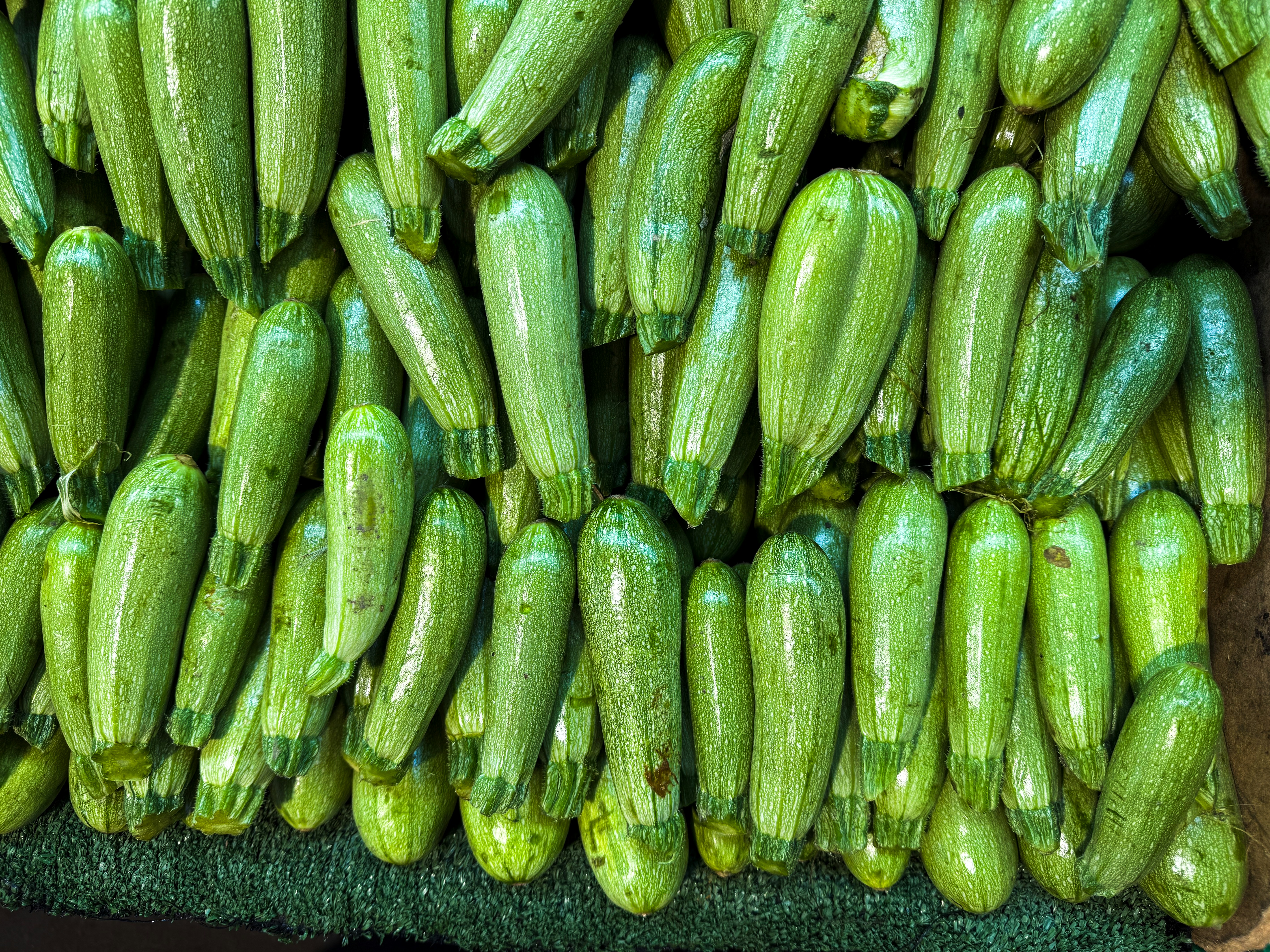 Fresh zucchini are piled together for sale.