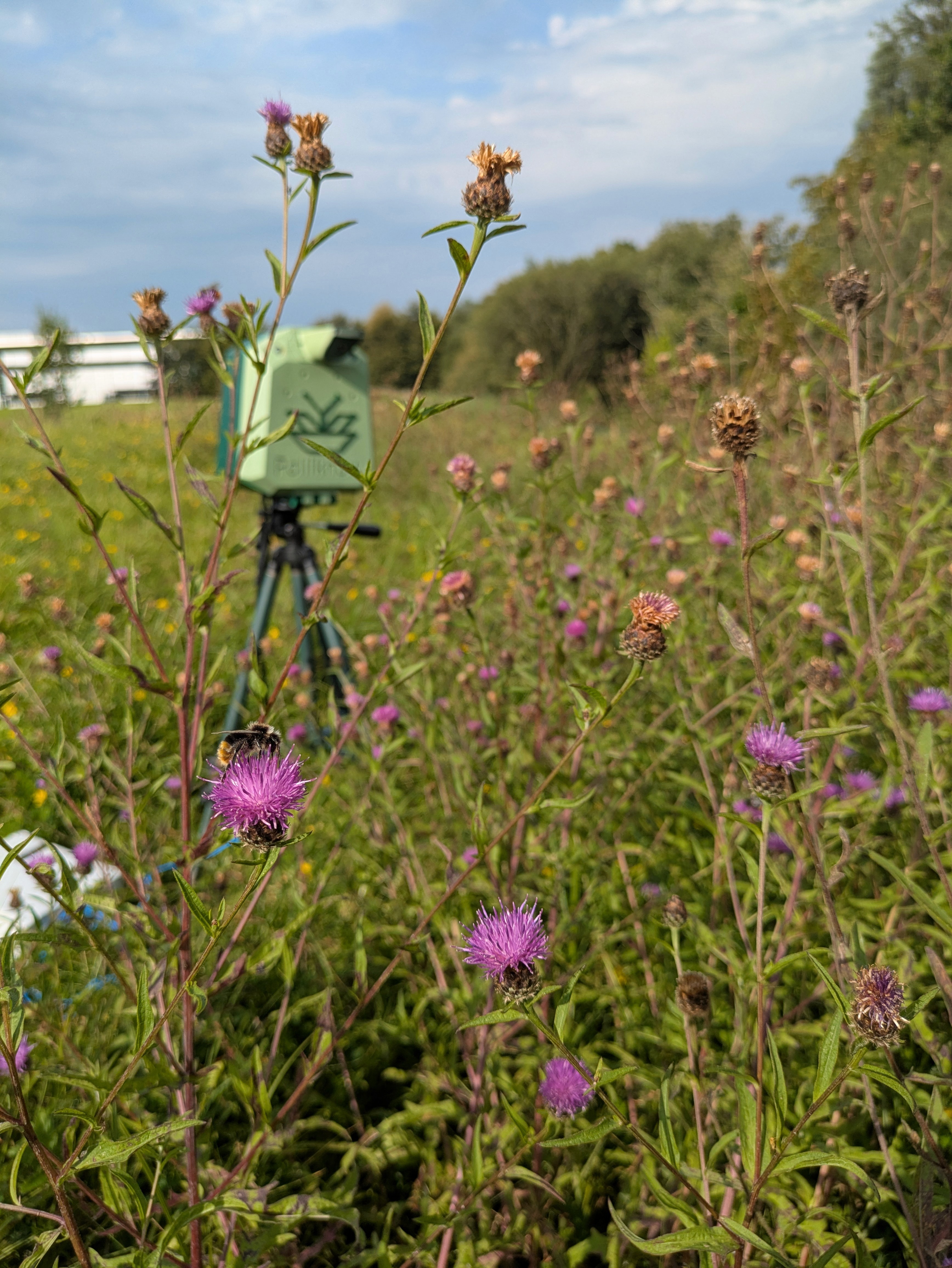 Scientist in laboratorium