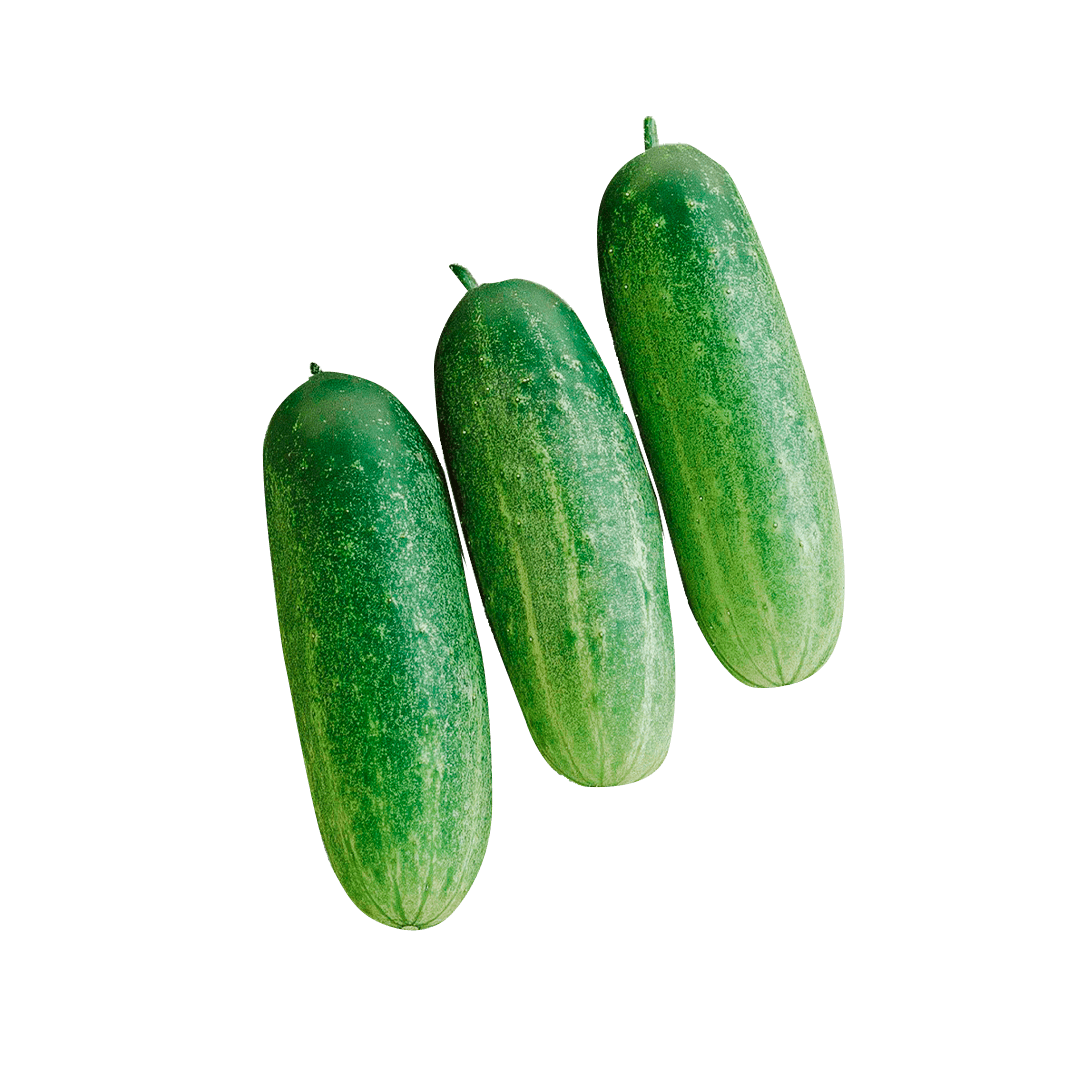 pepino-caipira