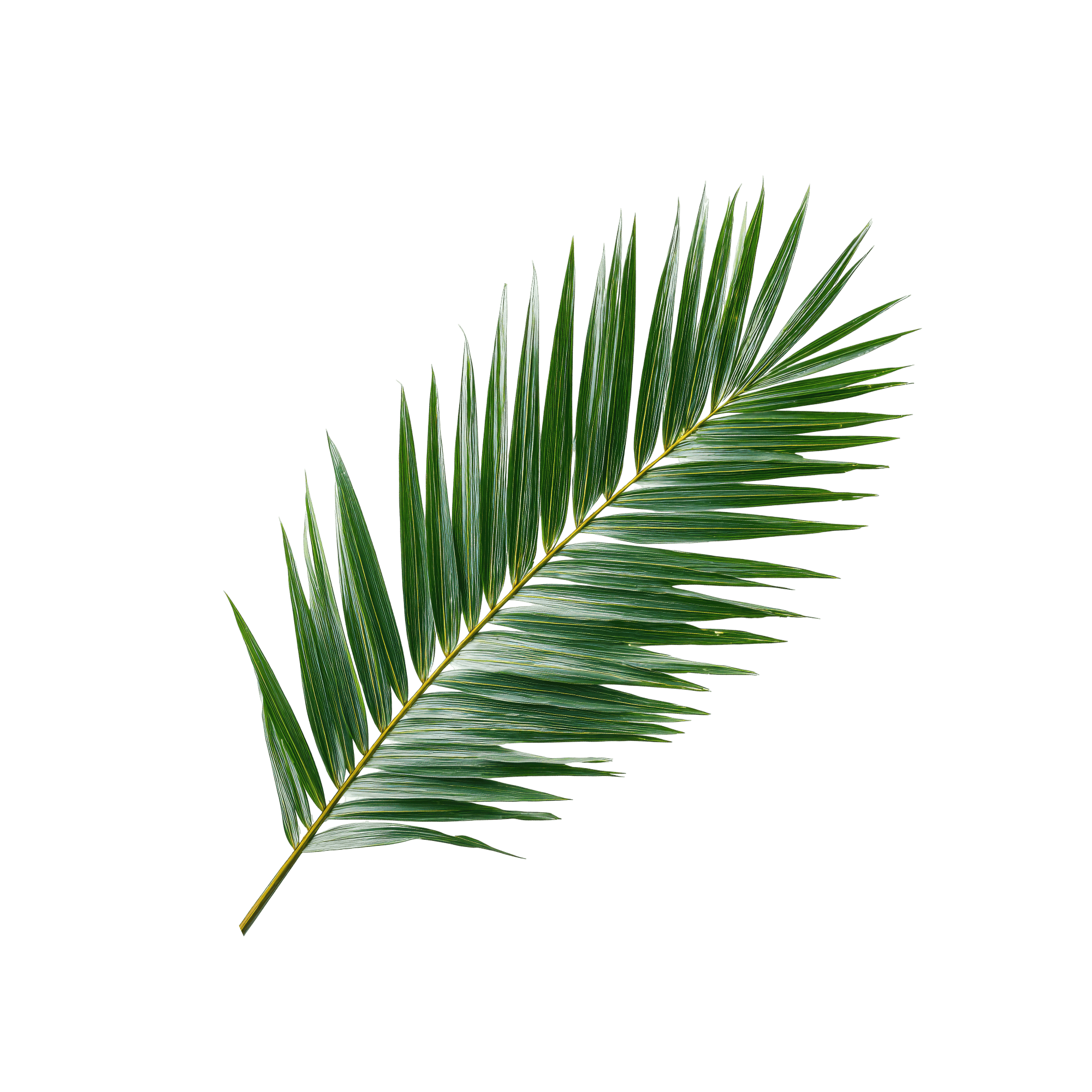 Grass-textured growth arrow icon representing rising impact