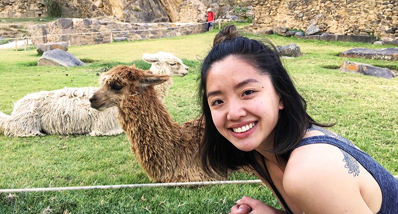 A photo of a girl standing in a green park near some lama animals.