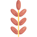 Datteri