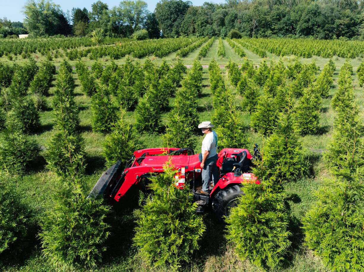 A young person with curly hair smiles at the camera while sitting in front of a laptop against a dark background.