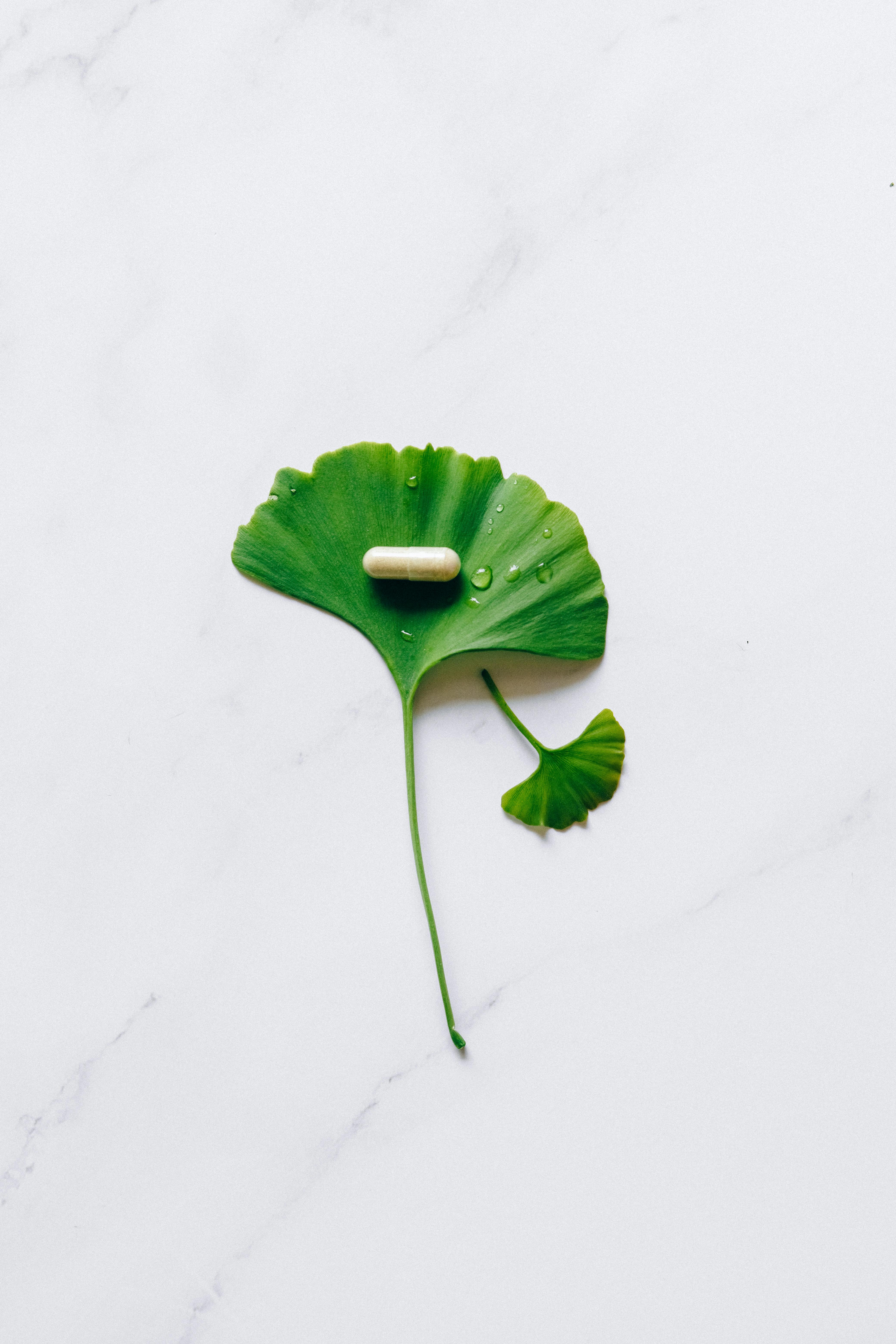 a-ginkgo-leaf-with-a-water-droplet-covered-supplement-pill-on-a-marble-surface - nataliya-vaitkevich (pexels)