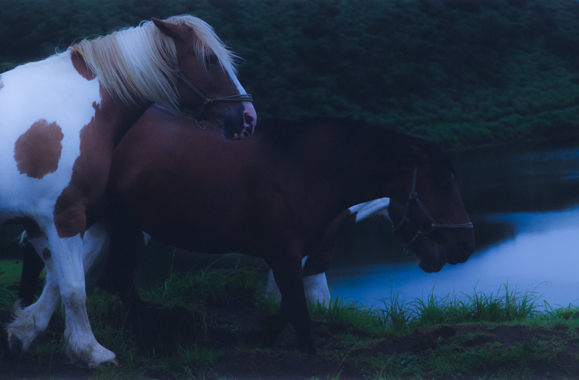 Taisei Matsumoto, archive random photograph 050