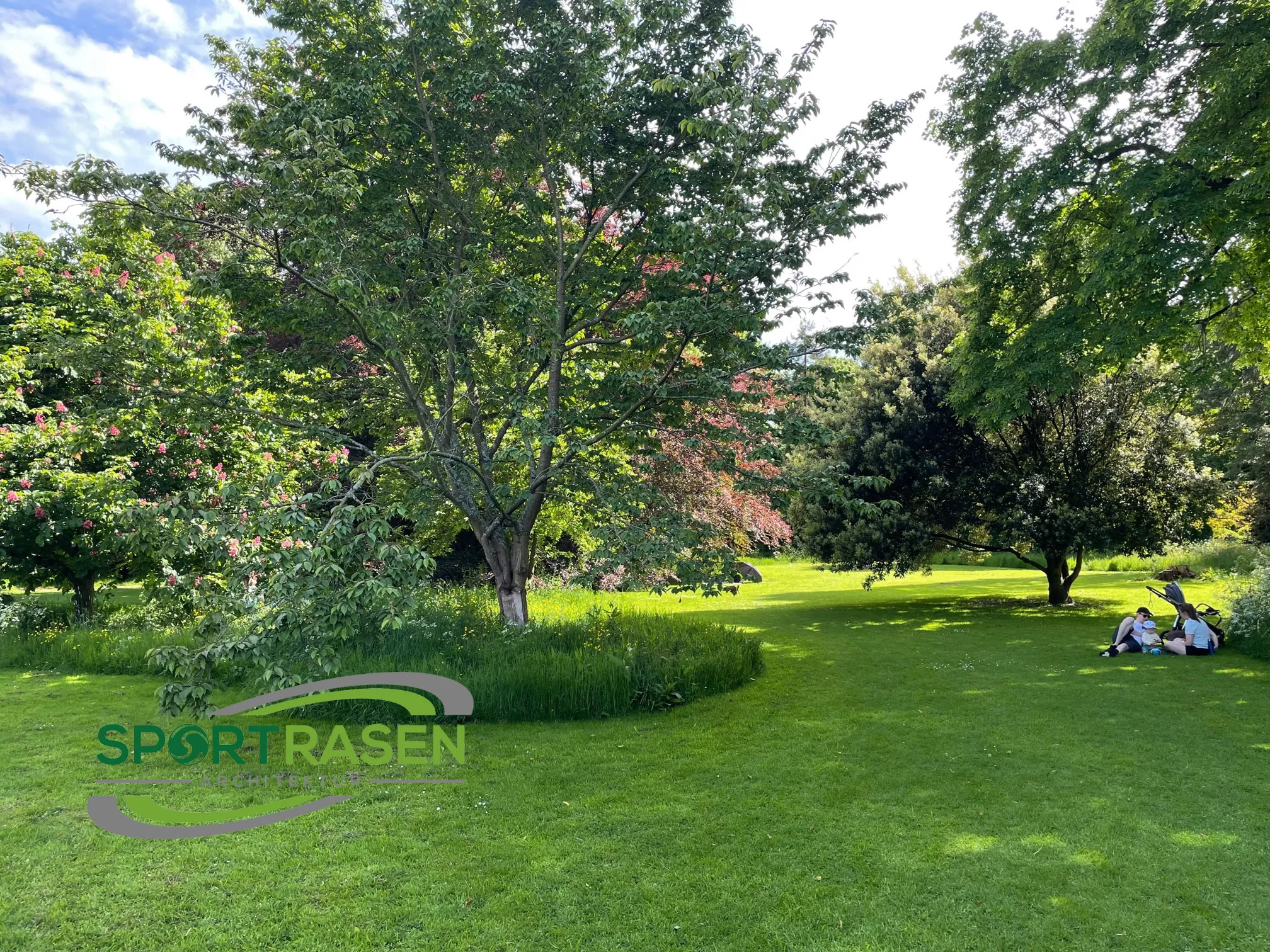 Gesunder Sportrasen beginnt hier