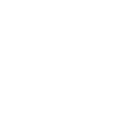 Procesos Digitales Convrzion