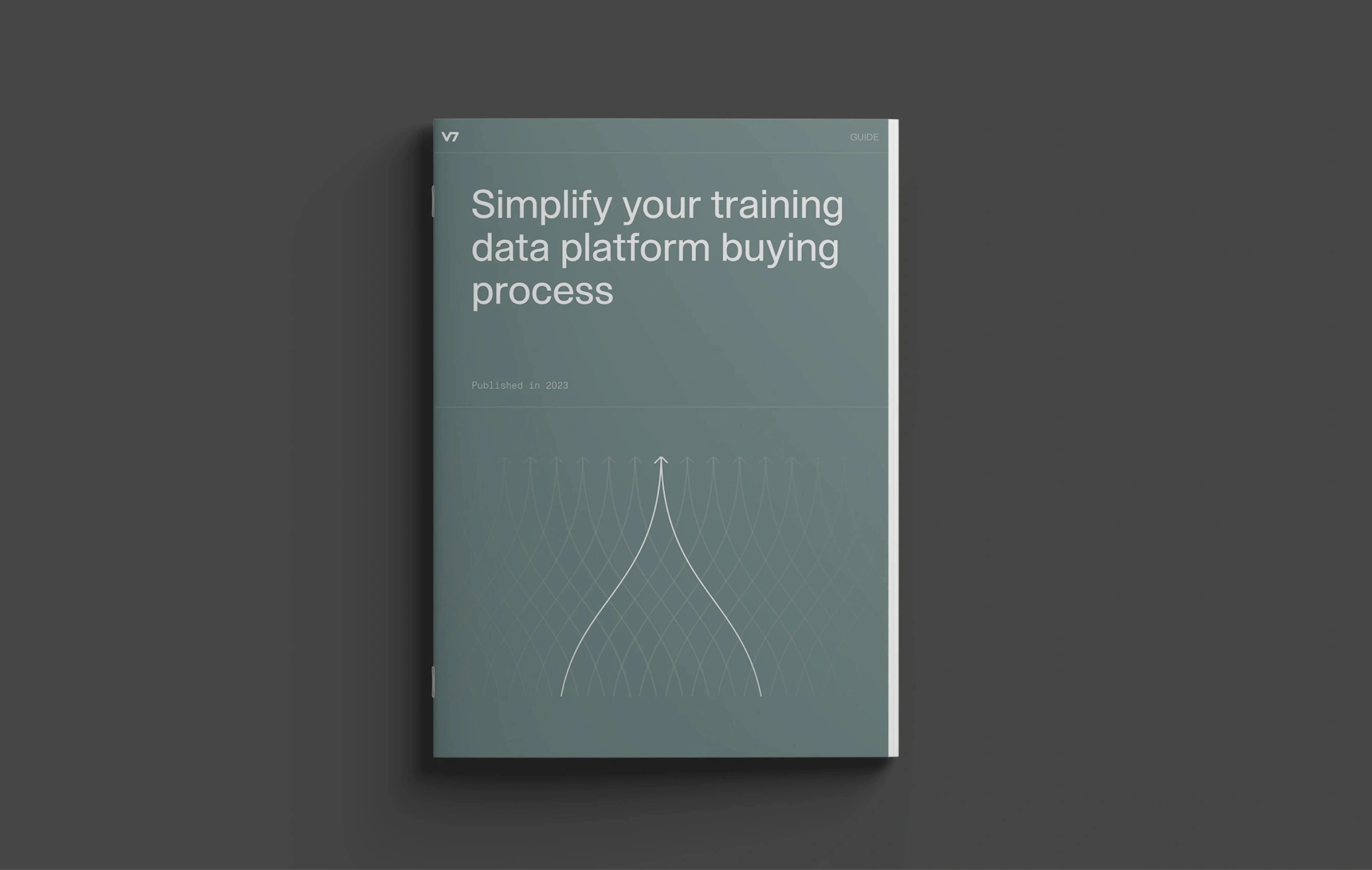 Grey book titled "The Training Data Platform Buying Guide."