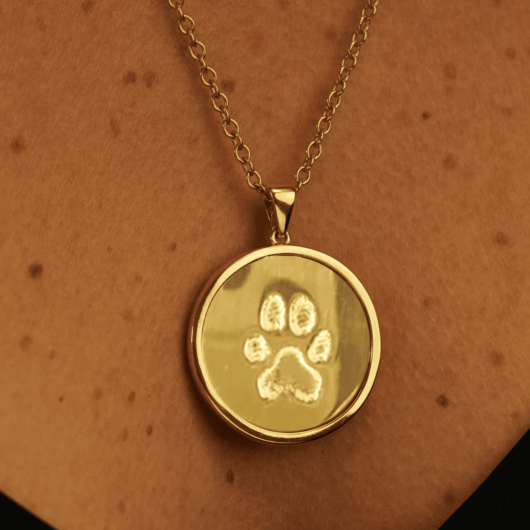 Paw print jewelry desktop hero image