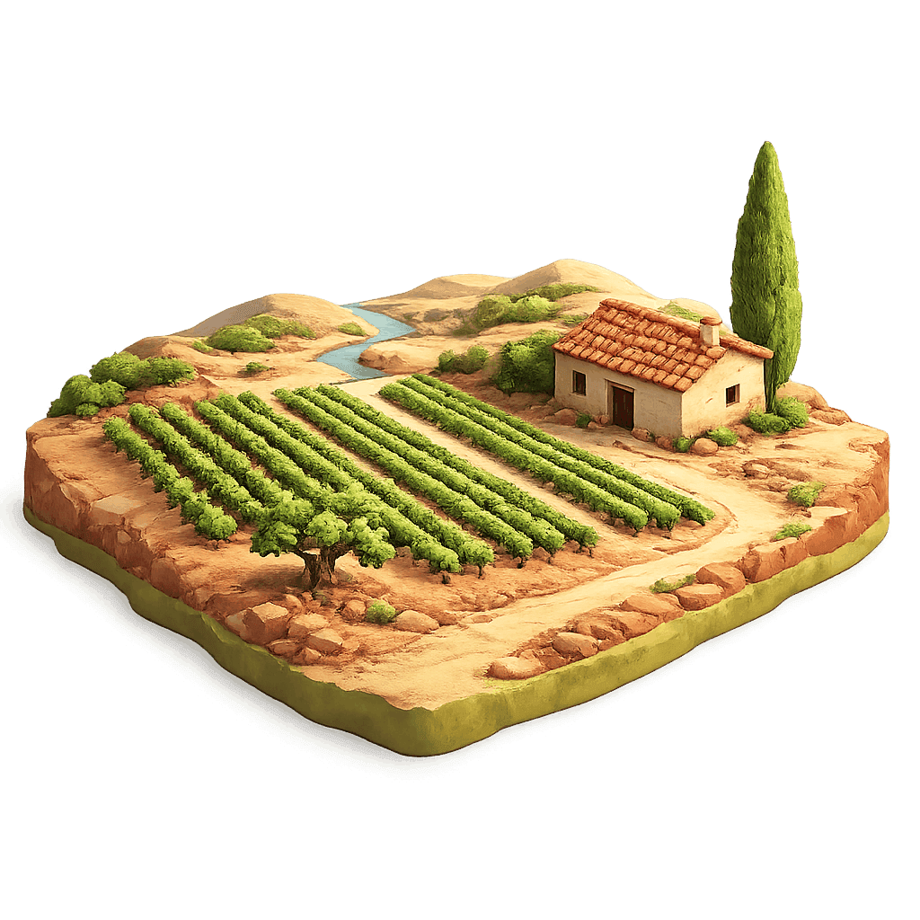 Artistic illustration of the Maule Valley wine region.