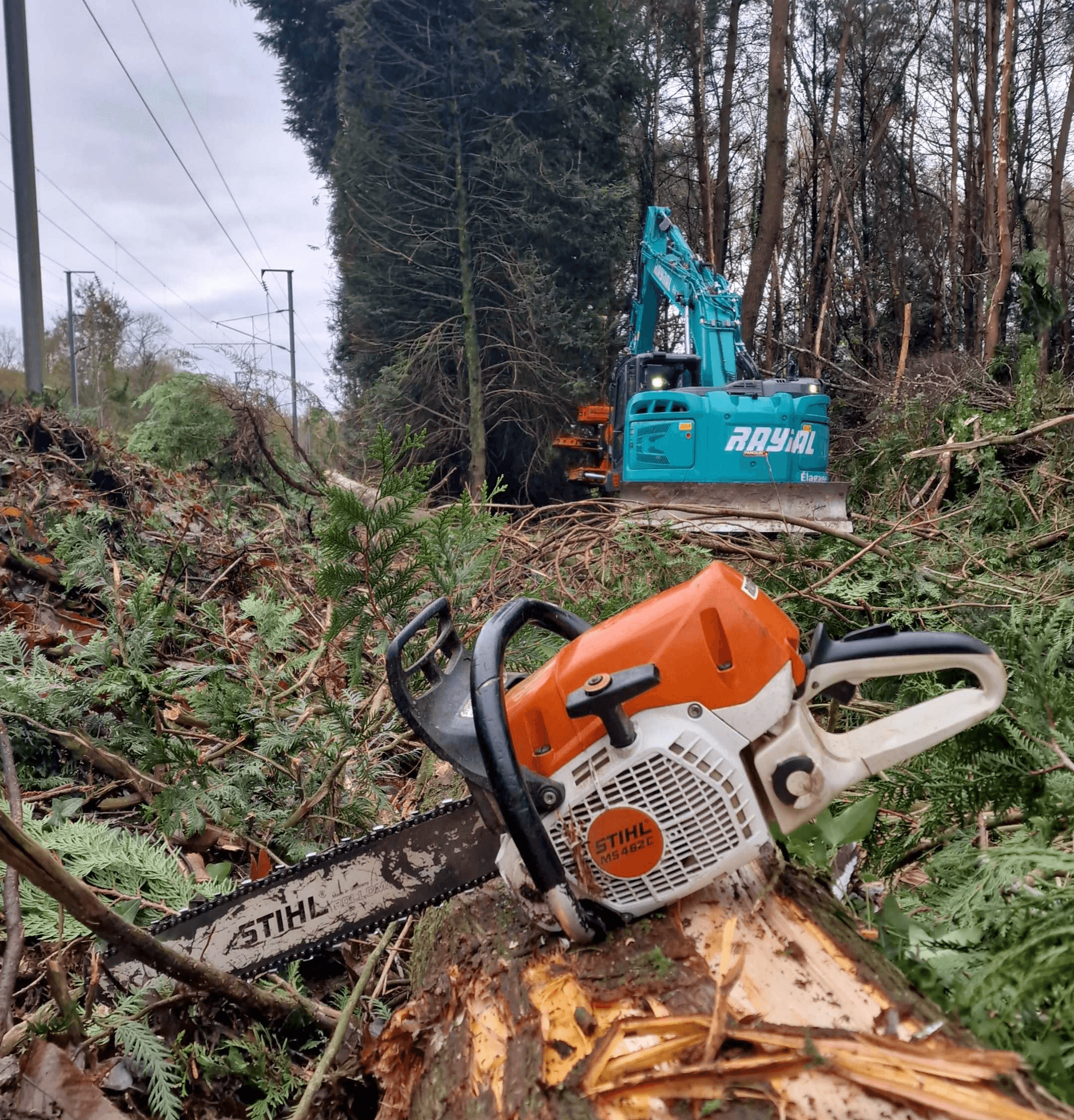 abattage arbres questembert