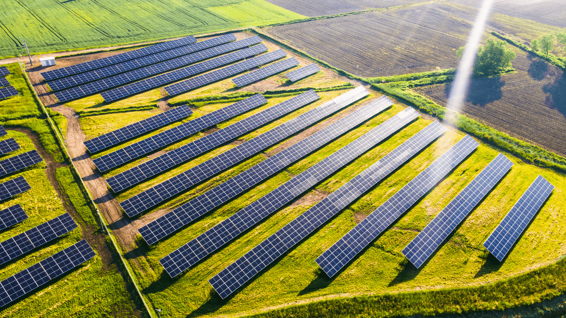 Agri-PV kann den landwirtschaftlichen Ertrag steigern.