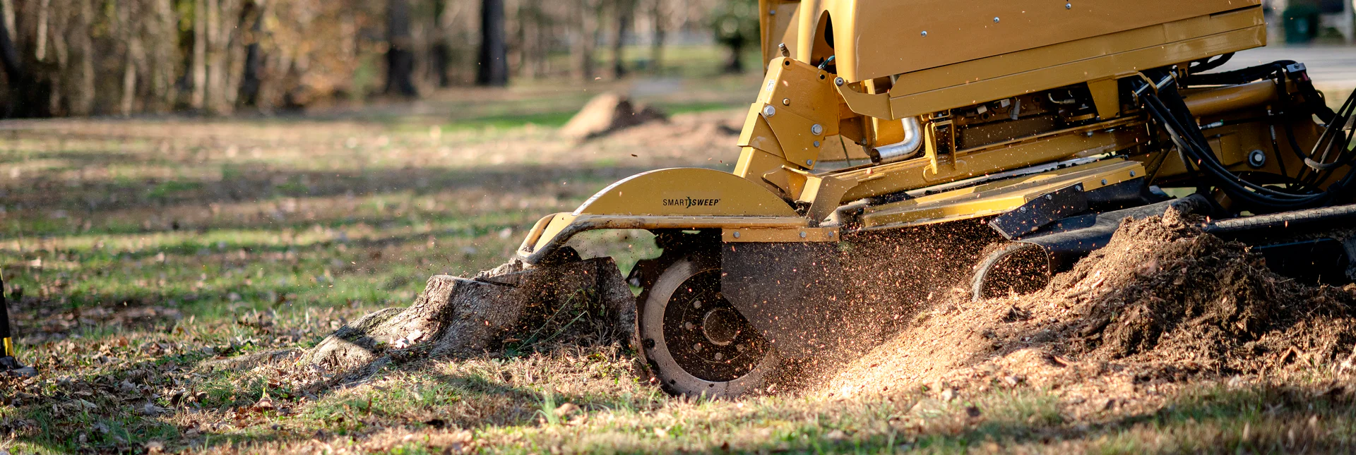 Stump Grinding & Removal