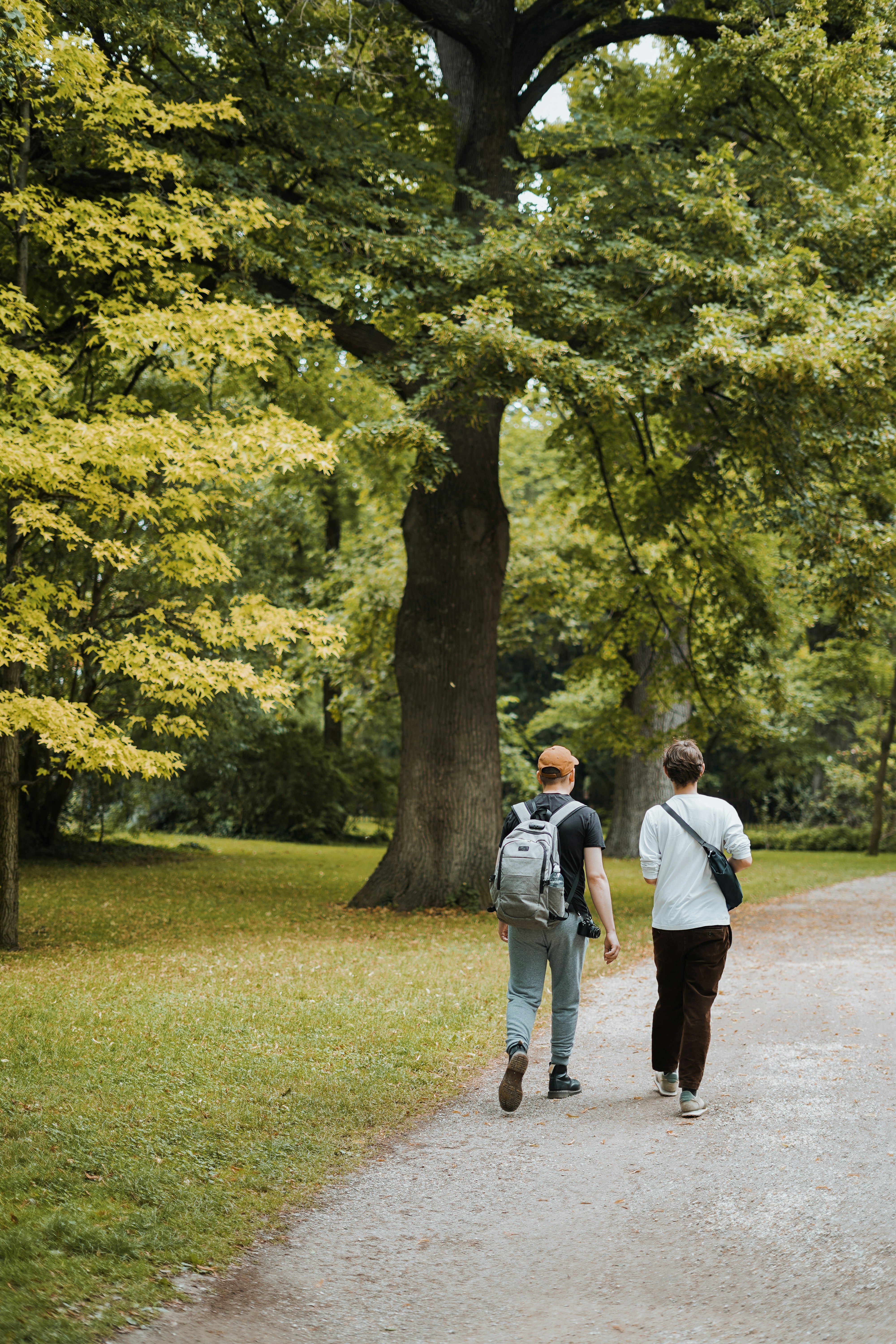 Two people walking side by side on a path surrounded by lush green trees.