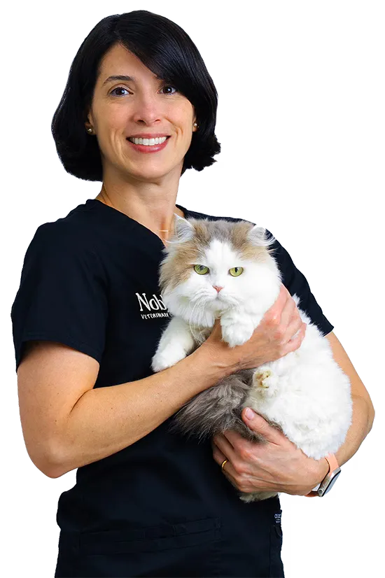 Dr. Leticia Maia: Veterinary Surgeon