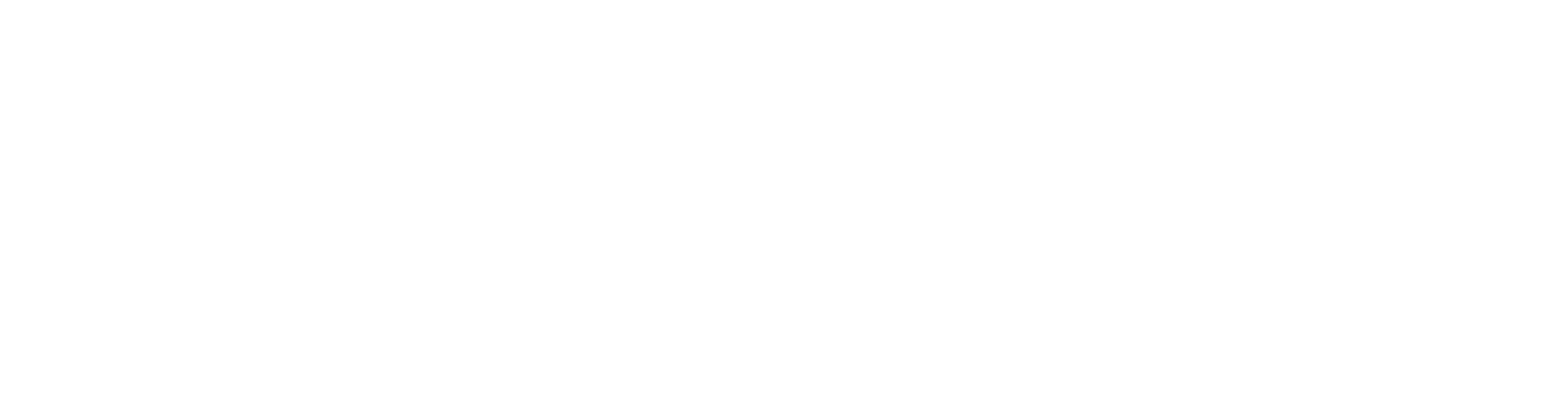 Logo Design Project for a Client