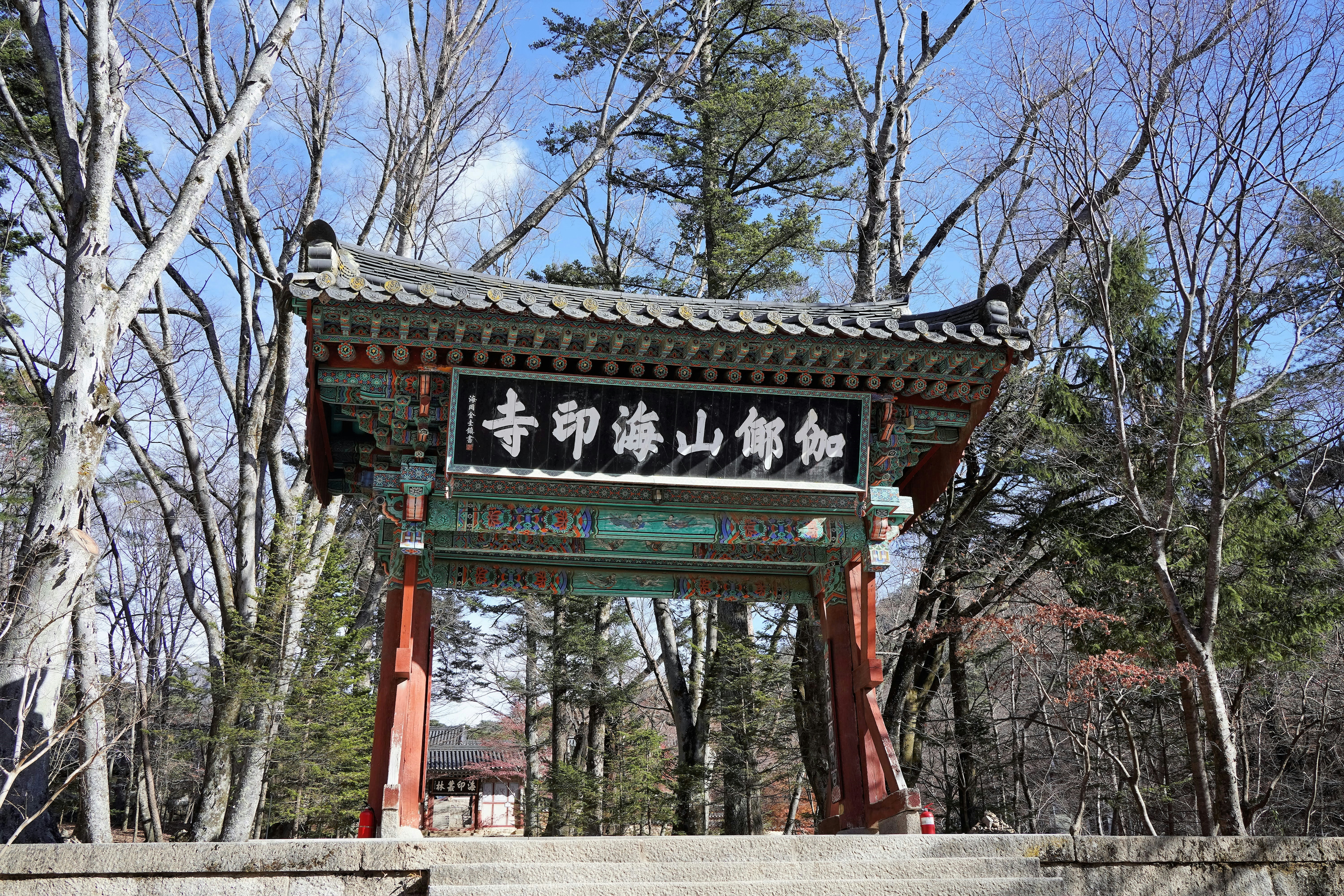 An oriental gate in the middle of a forest