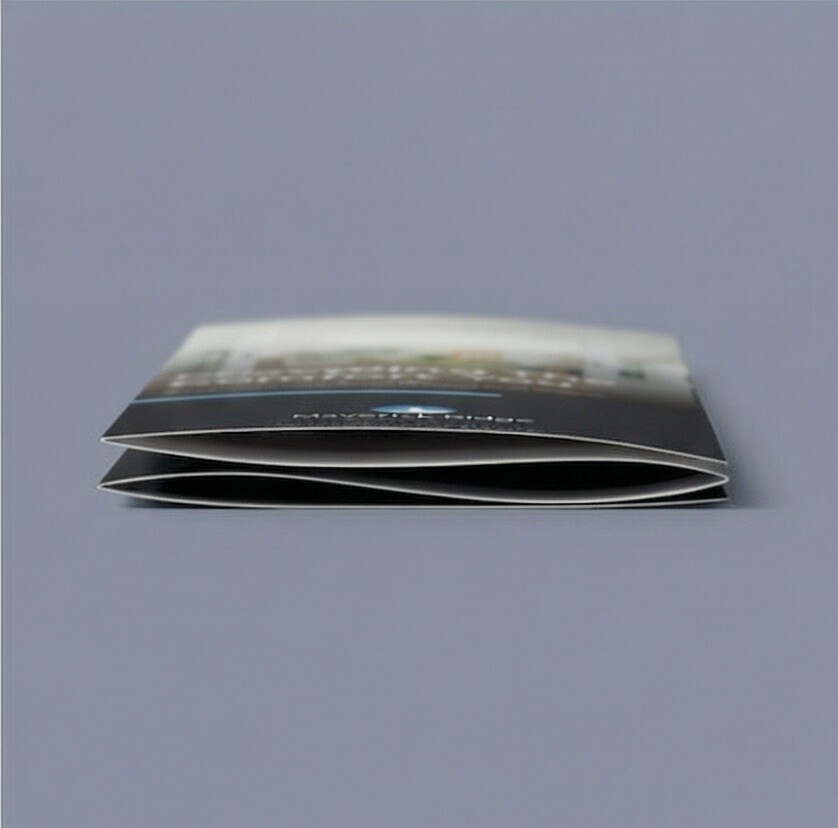 VisualTell Tri-Fold Brochure
