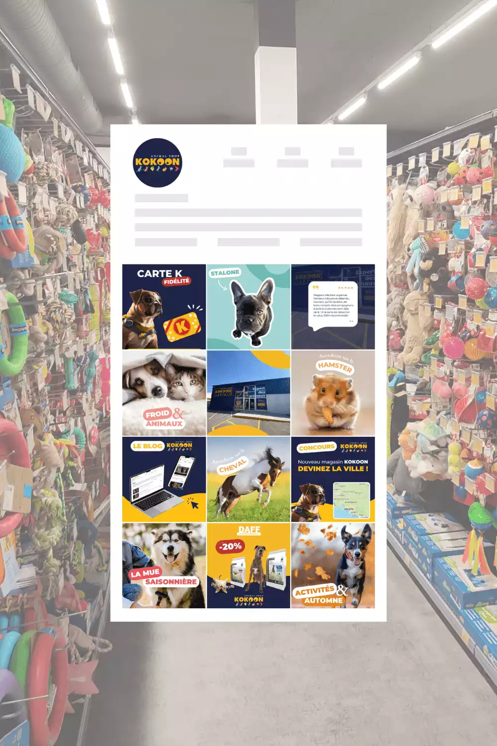 Contenus réseaux sociaux Kokoon Animal Shop créés par Coralie De Almeida pour Instagram et Facebook