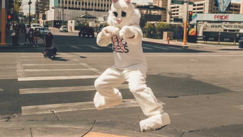 Person in a bunny costume is shadowboxing on the street