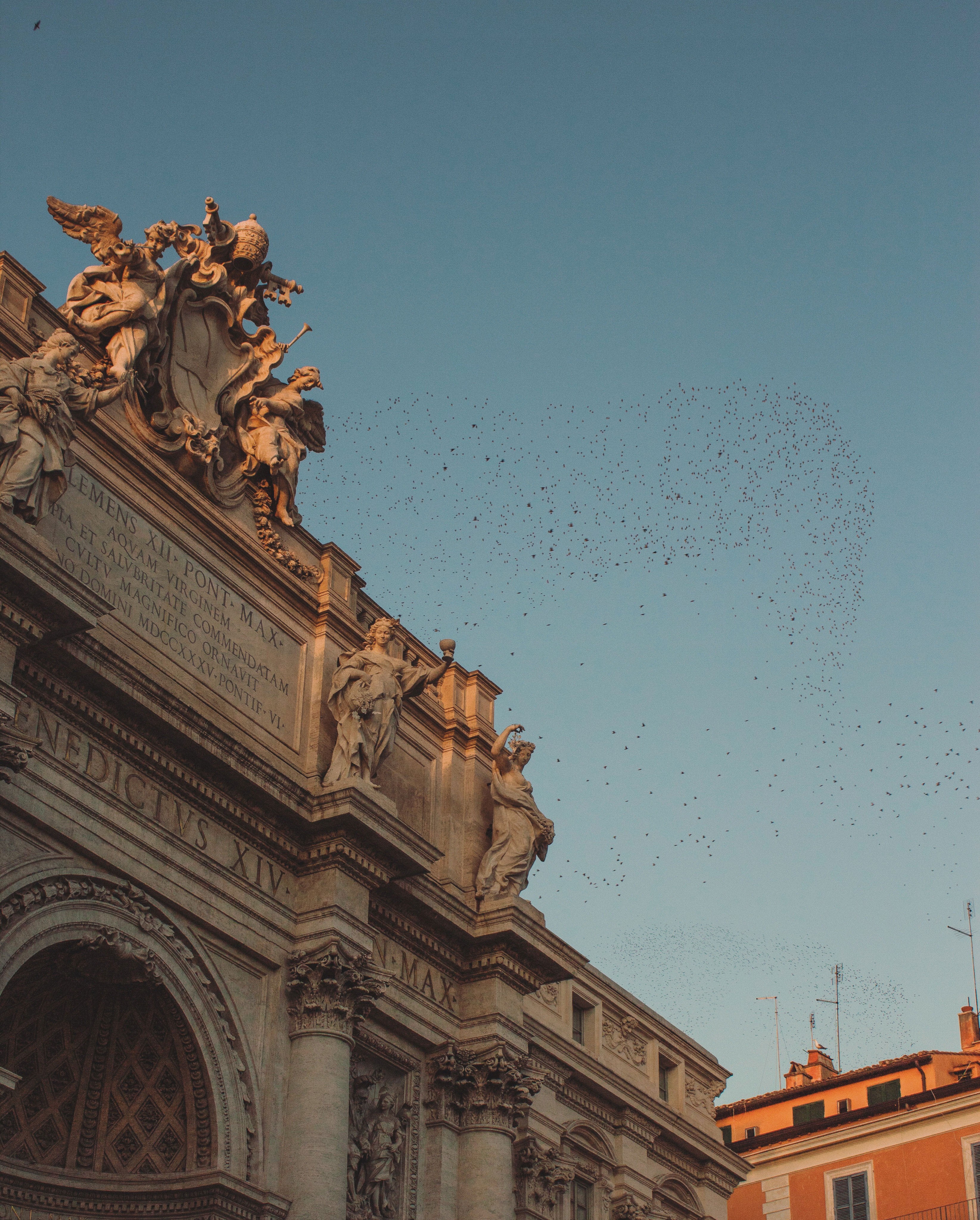Vintage Car Under Palm Trees
