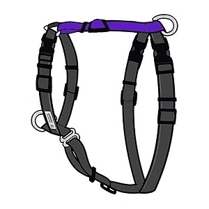 Balance Harness