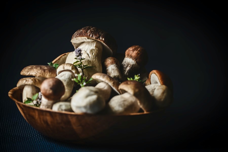 Funghi porcini
