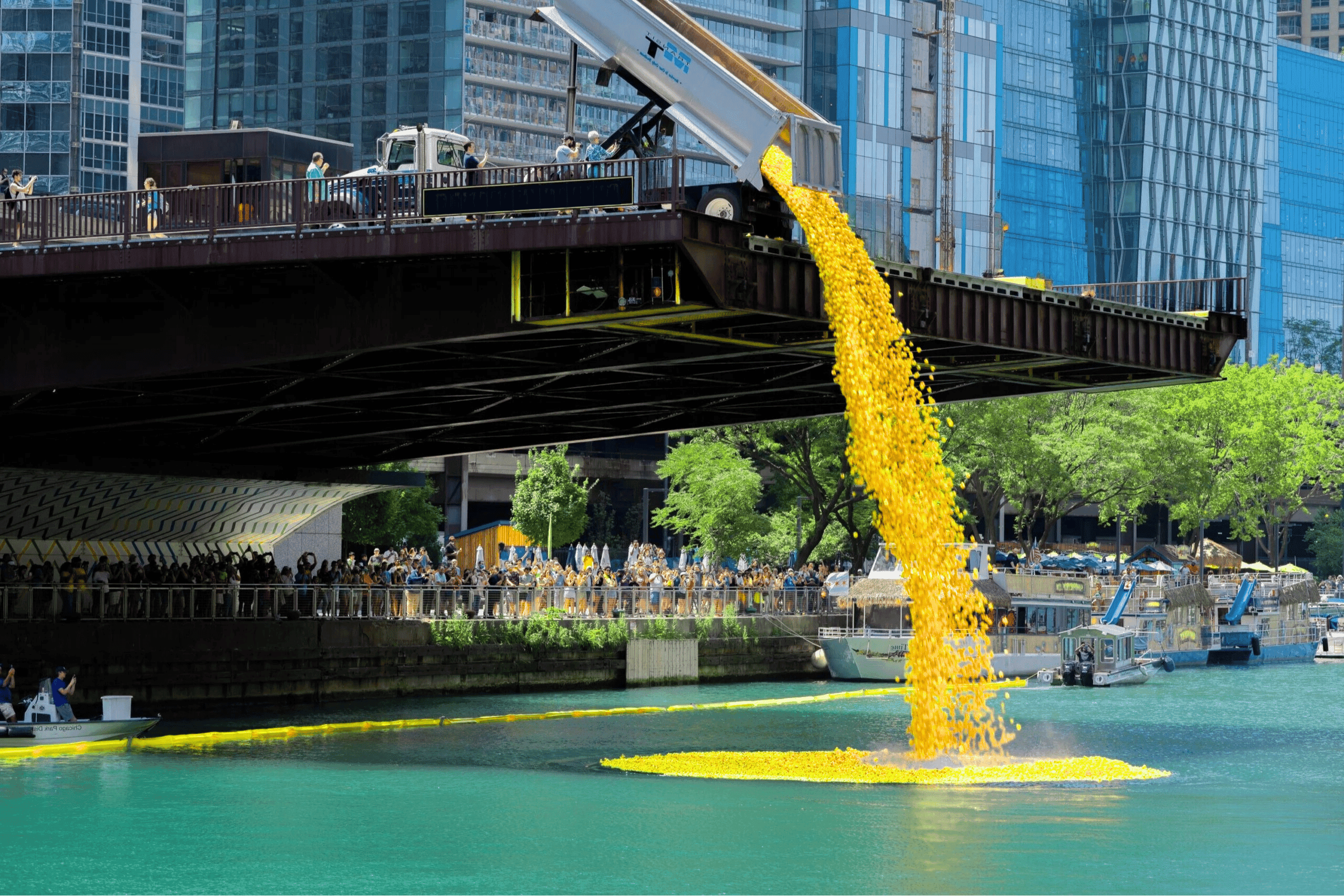 Ducks being dropped from a bridge