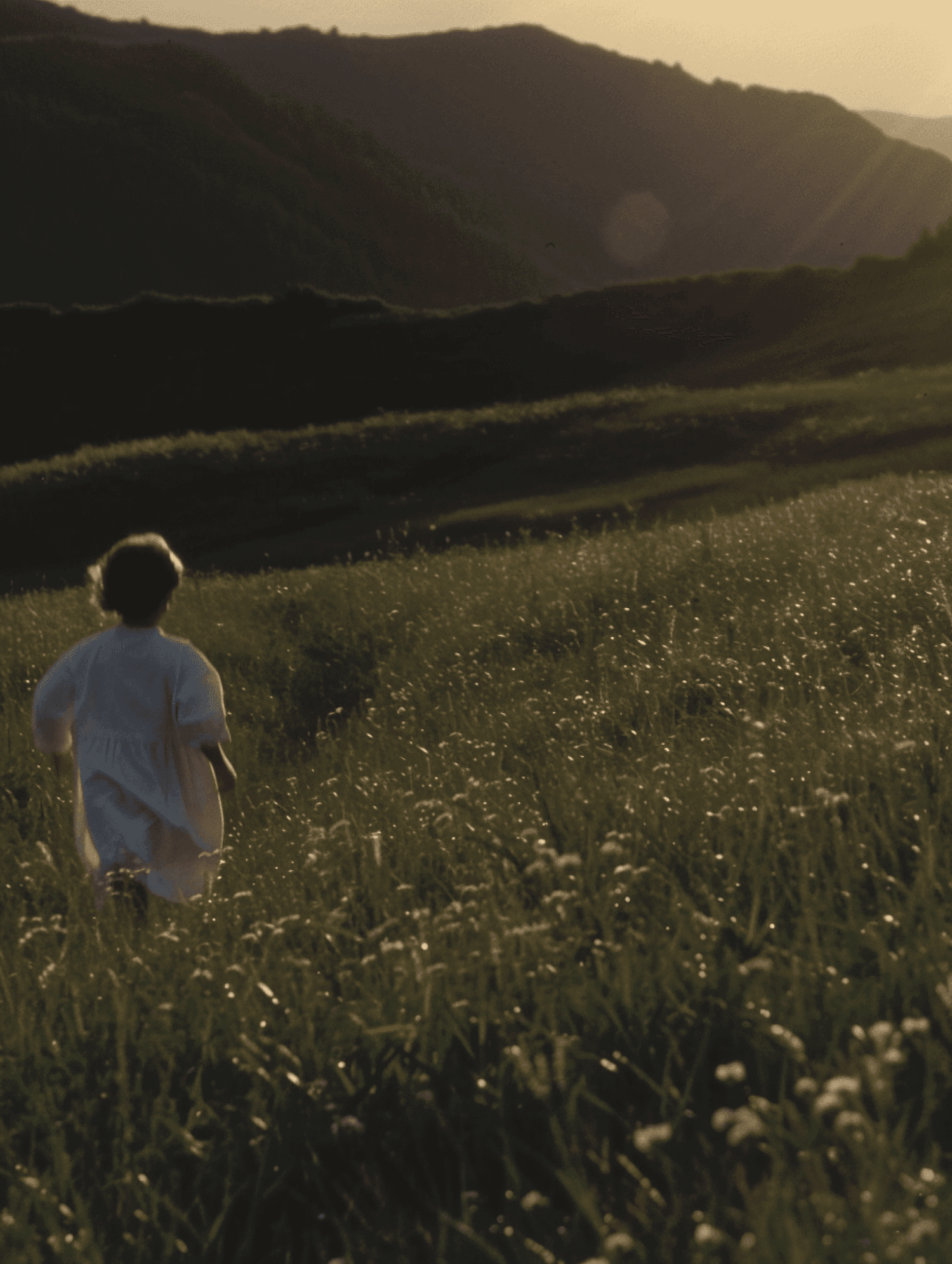 Person walking through a sunlit field toward distant hills