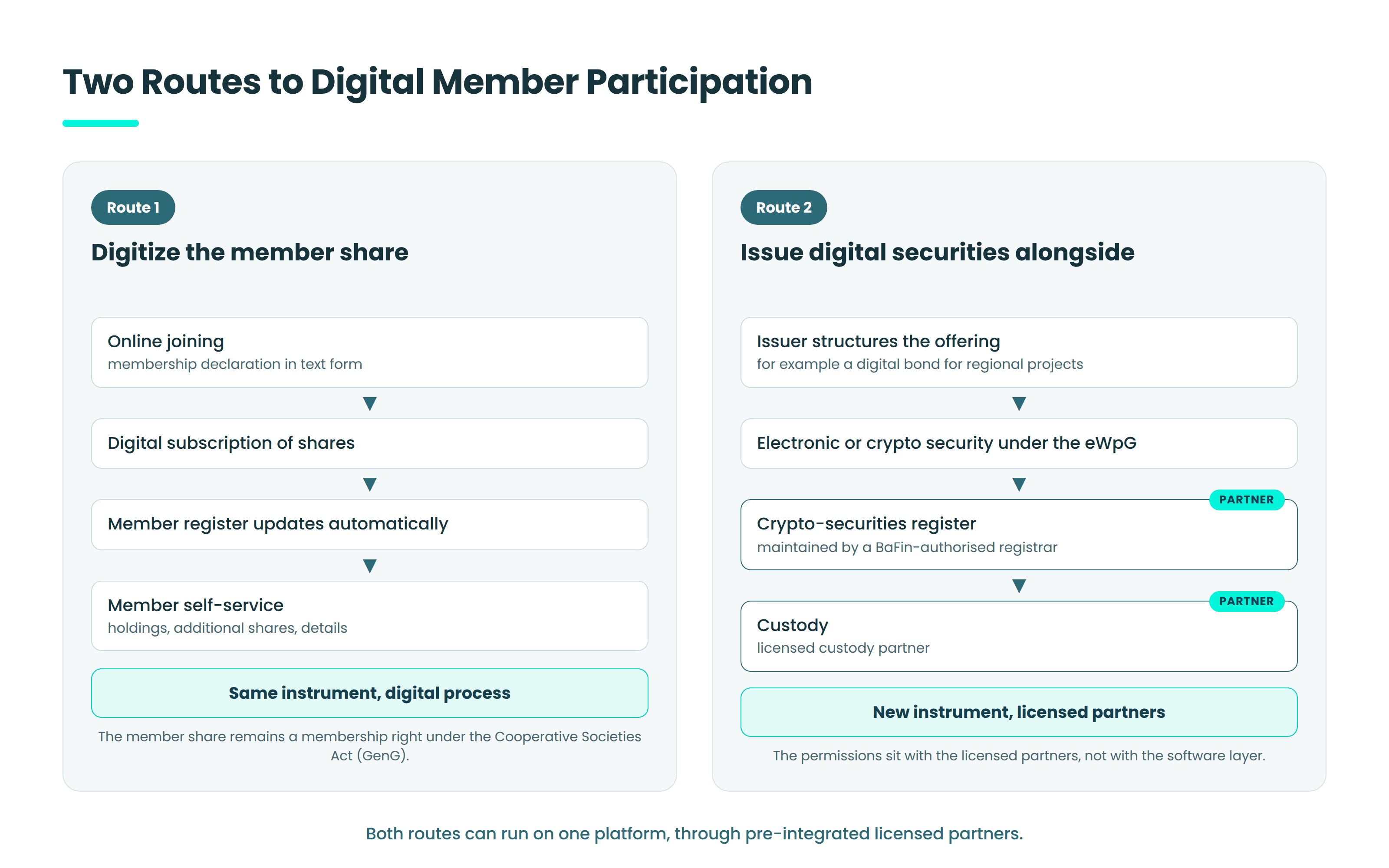 Diagram of two routes to digital member participation for cooperatives and cooperative banks: route 1 digitizes the member share with online joining in text form, digital subscription and an automatically updated member register; route 2 issues digital securities under the eWpG through a BaFin-authorised registrar and a licensed custody partner.