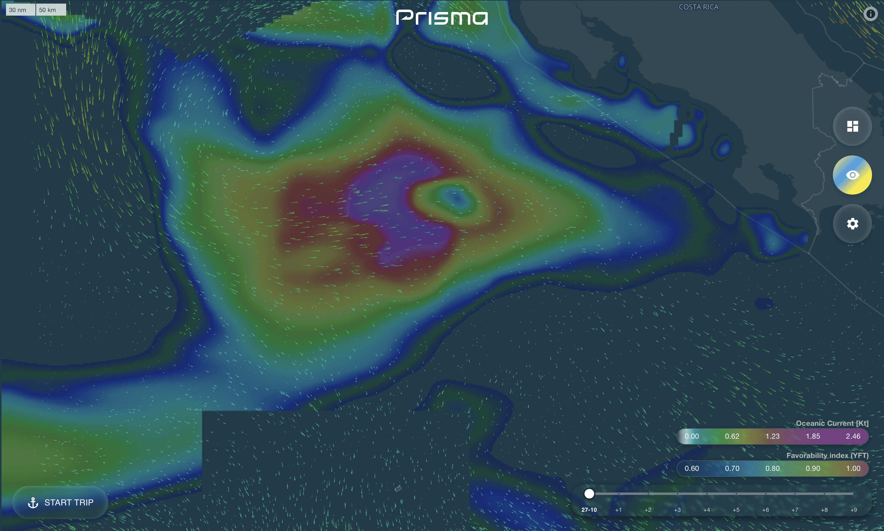 Concetrated triathlete grayscale