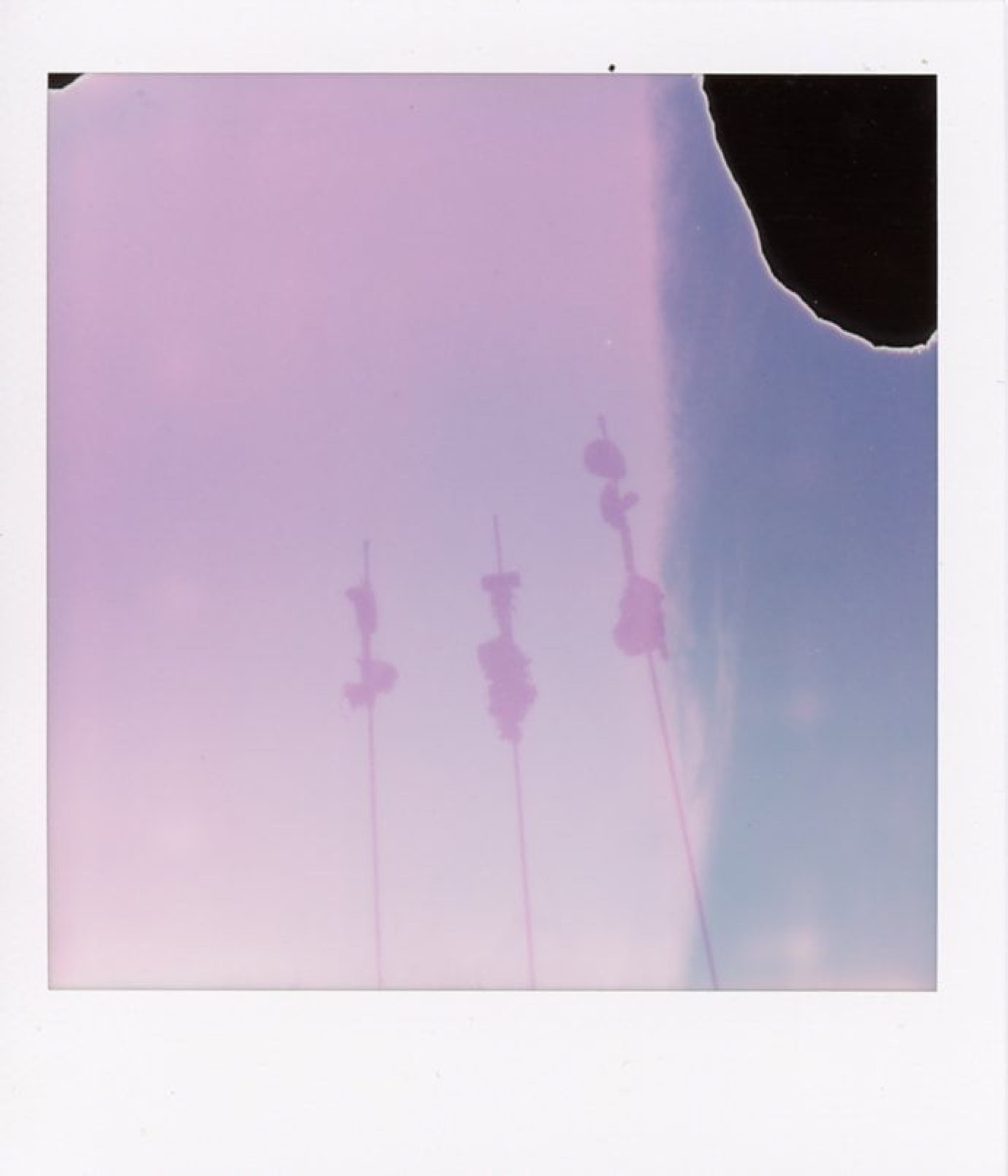 Photograph by Jacquelyne Pierson