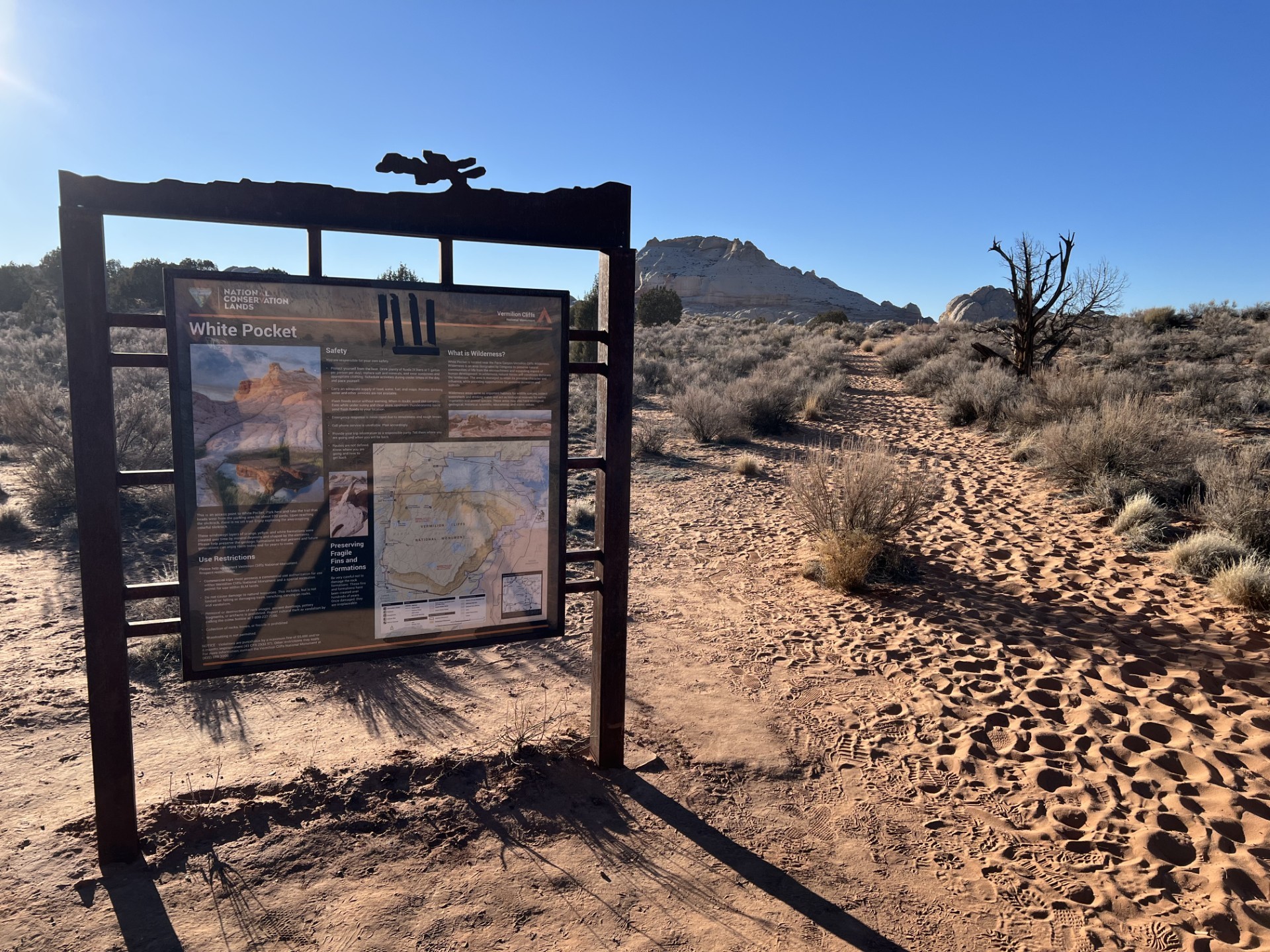 The Bureau of Land Management information sign at the White Pocket trailhead, standing beside a deeply rutted sand track with white sandstone domes on the horizon.
