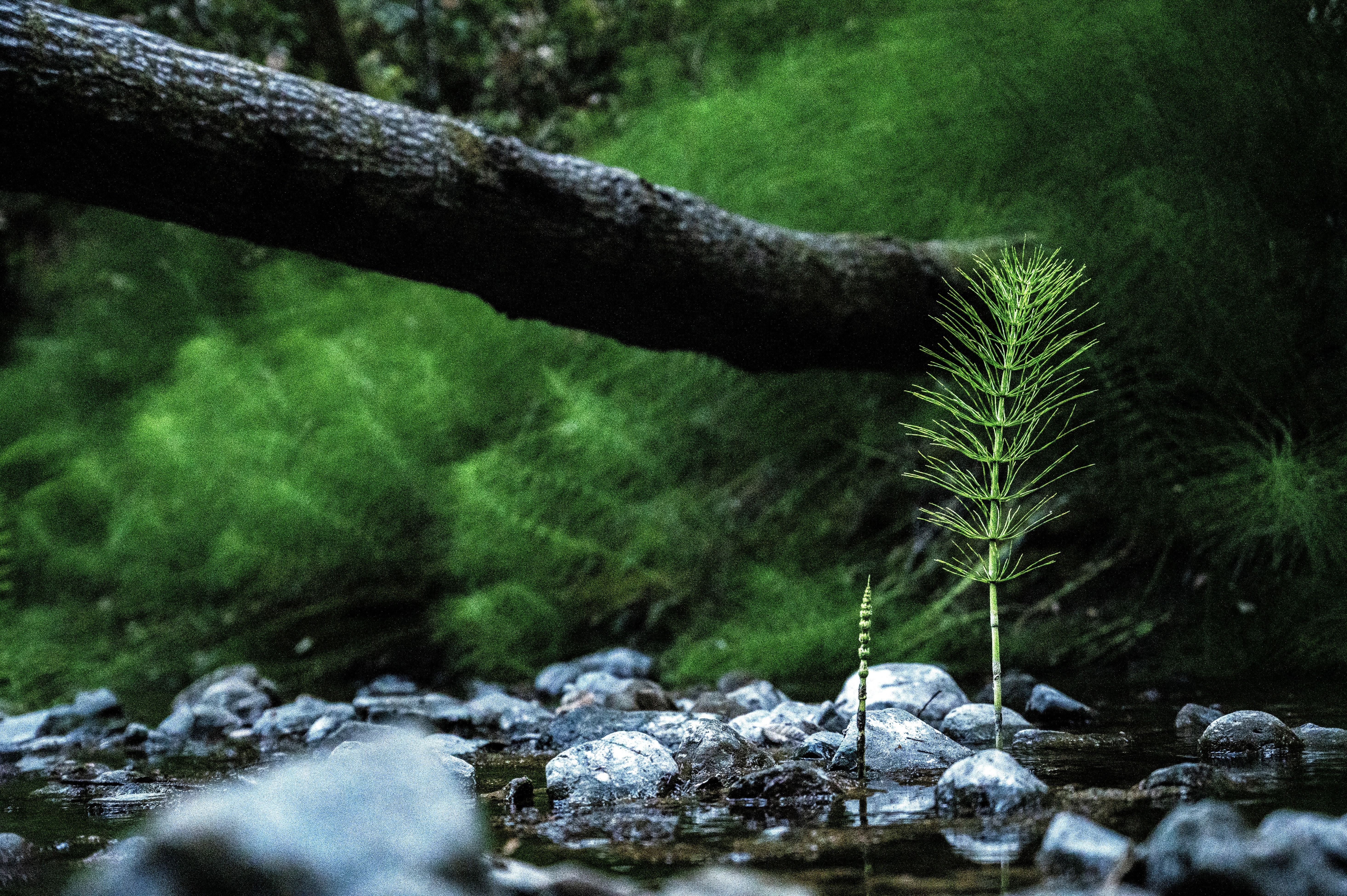 coldcourt. winter 2024. philadelphia, pa.