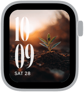 mustard seed Apple Watch face preview 2 featuring spring.